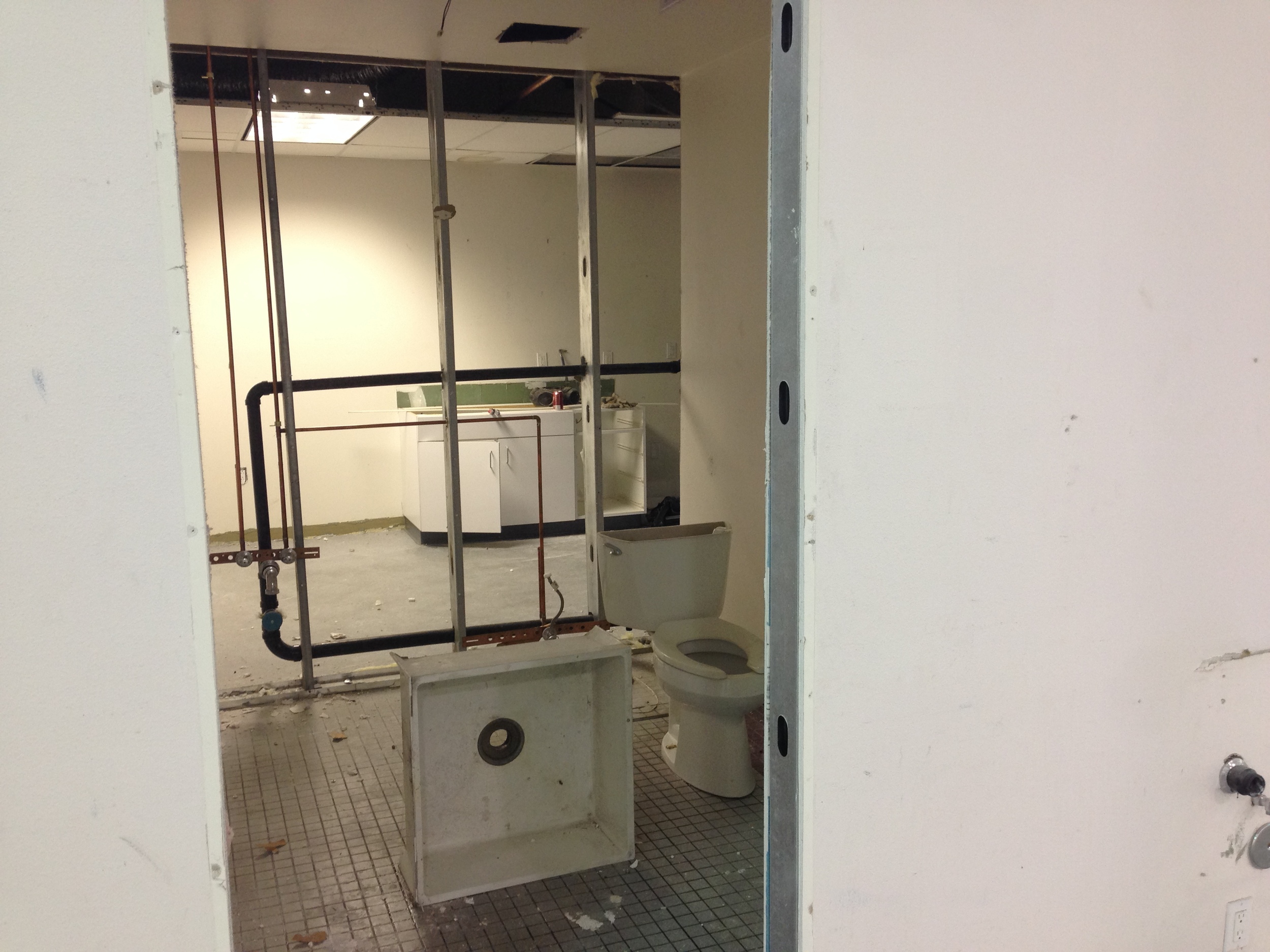 Bathroom demolition.