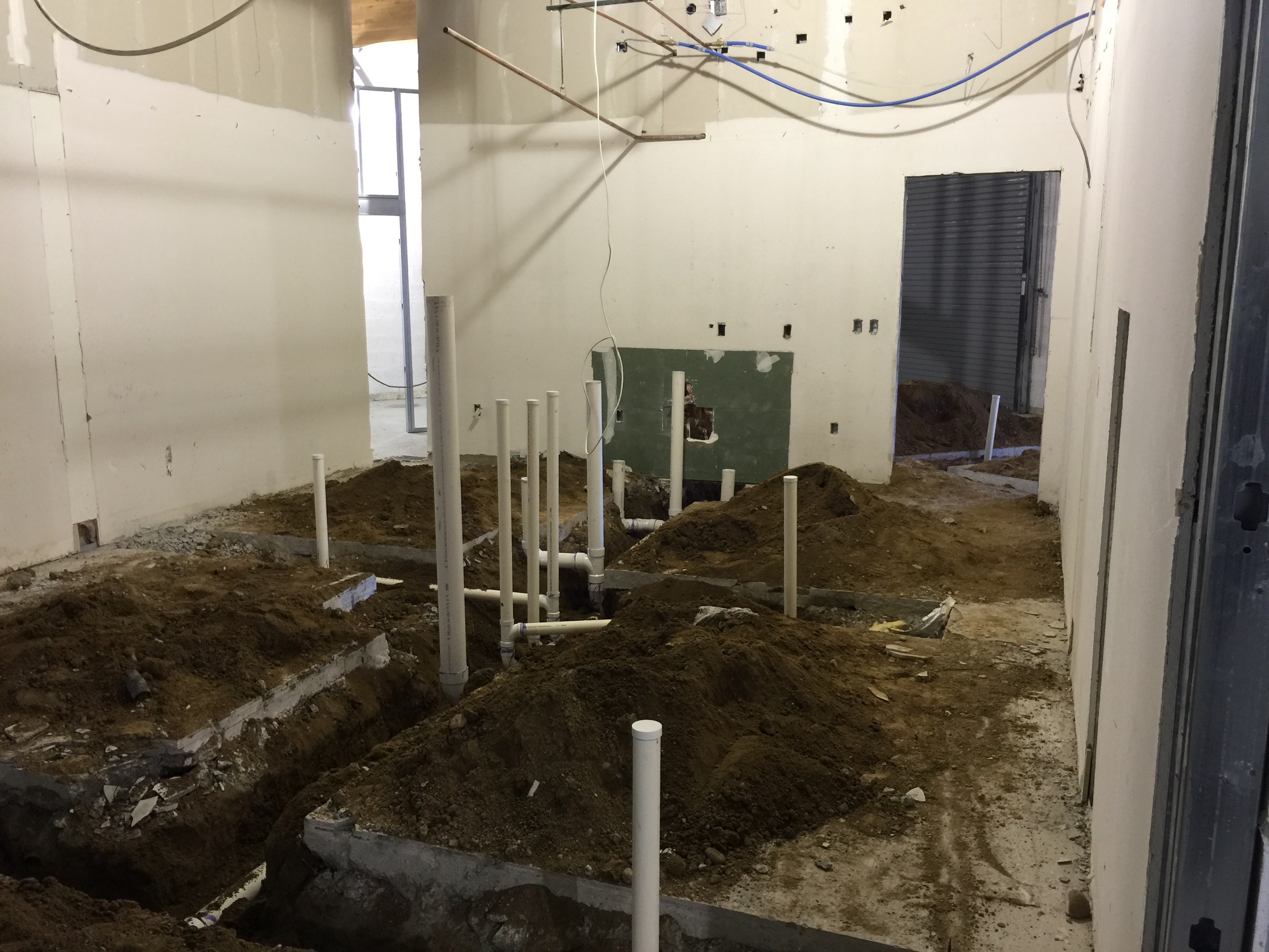 Trenching for the future bathroom plumbing. A thing of beauty.