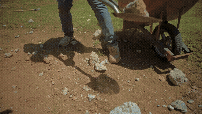 Adobe Express - Strauss_MLB_30_Master (2).gif