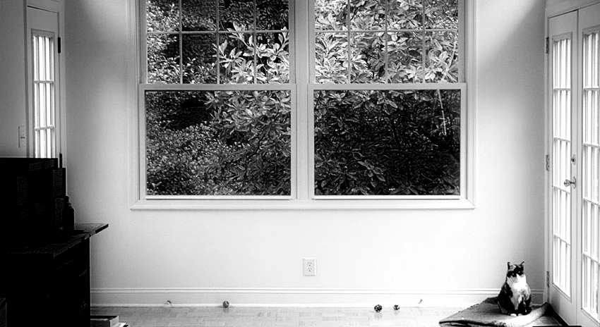 KITTYANDTHEWINDOWcopy_25_27.jpg