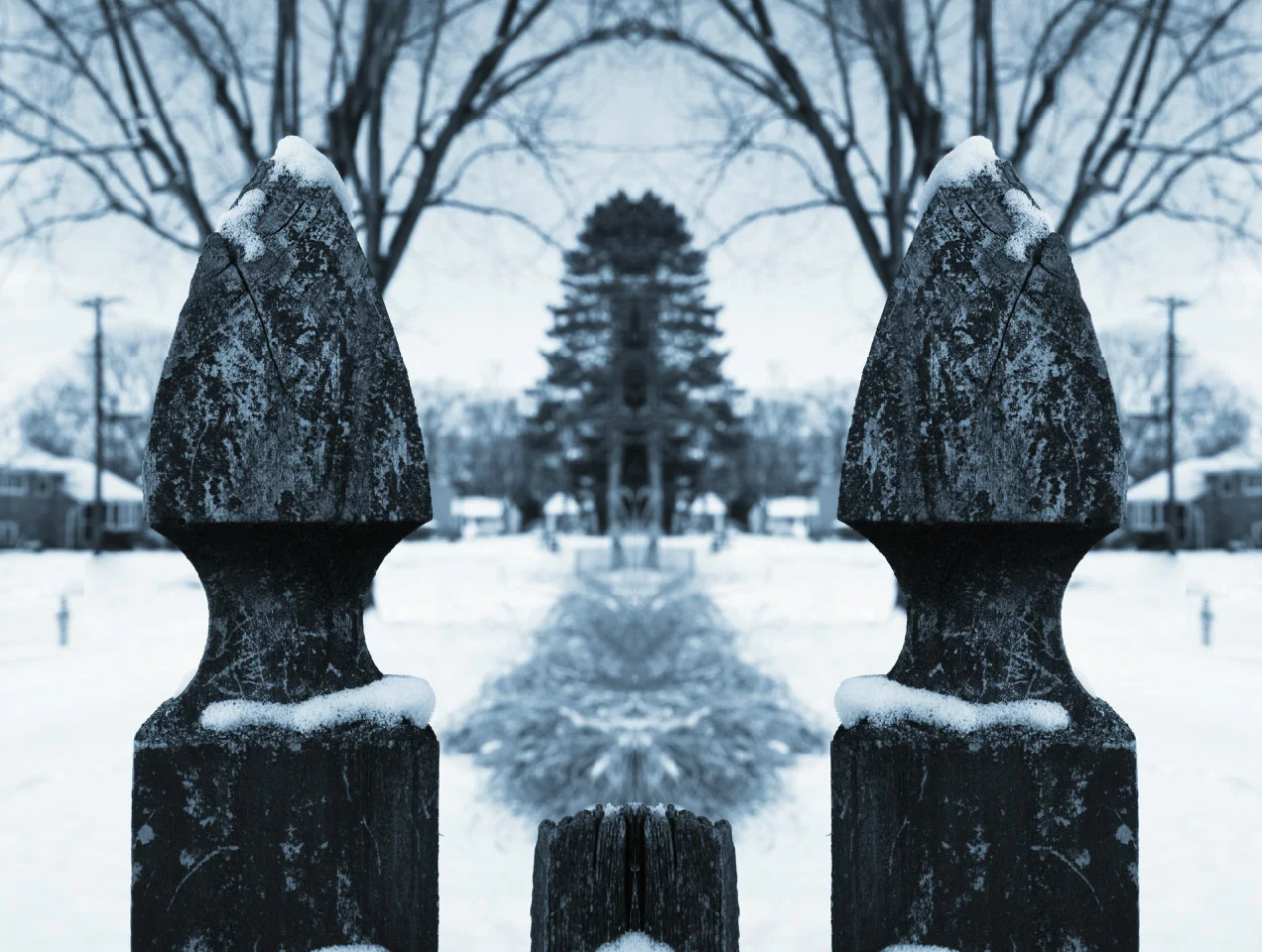 SnowDay3_42.jpg