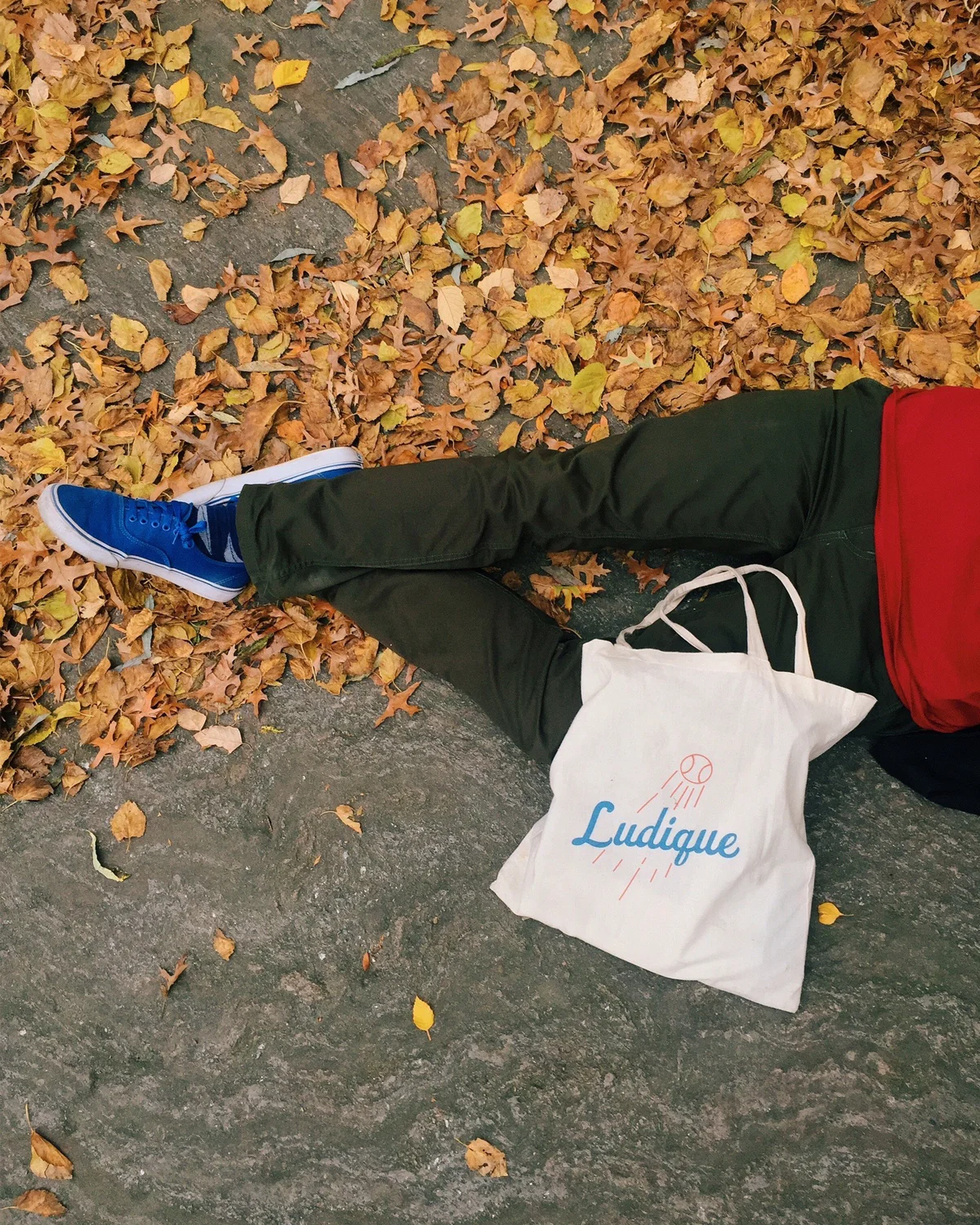 1 of 1 bag designed for Fall 2015
