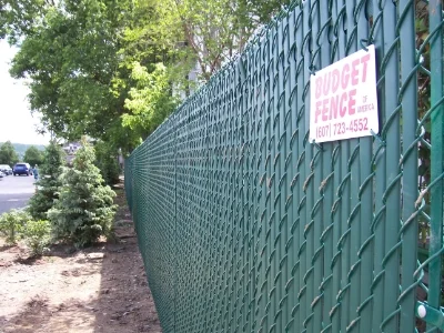 chain link 1.JPG