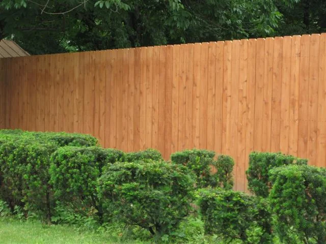Western Red Cedar