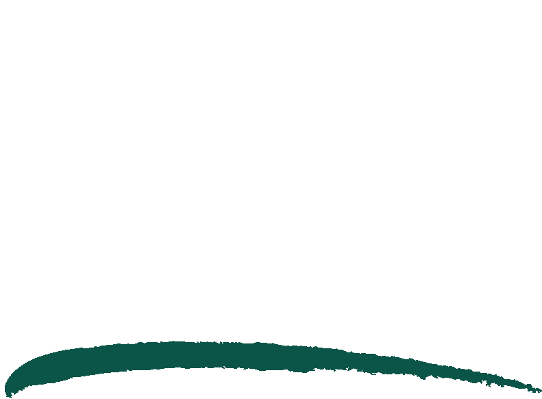 The Shae Foundation