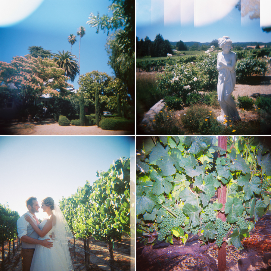 Vineyard California Wedding by Jessica Garmon