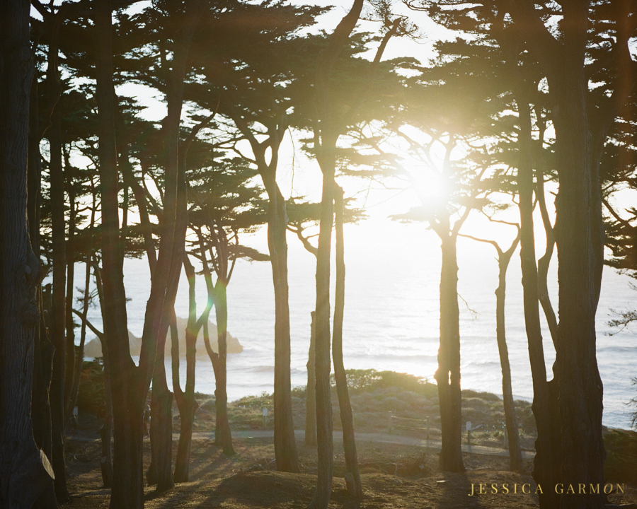 California Coast by Jessica Garmon, Film Wedding Photographer