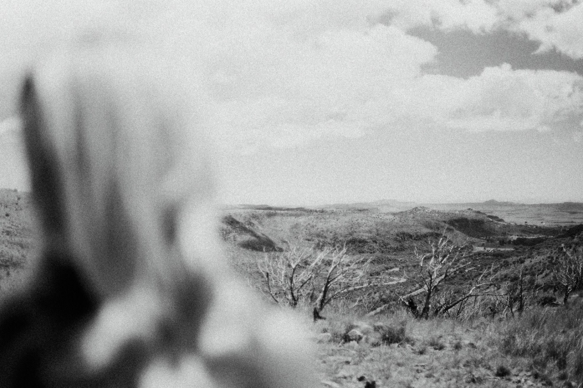 73_Marfa-Texas-Engagement-Jessica-Sherrell-356.jpg