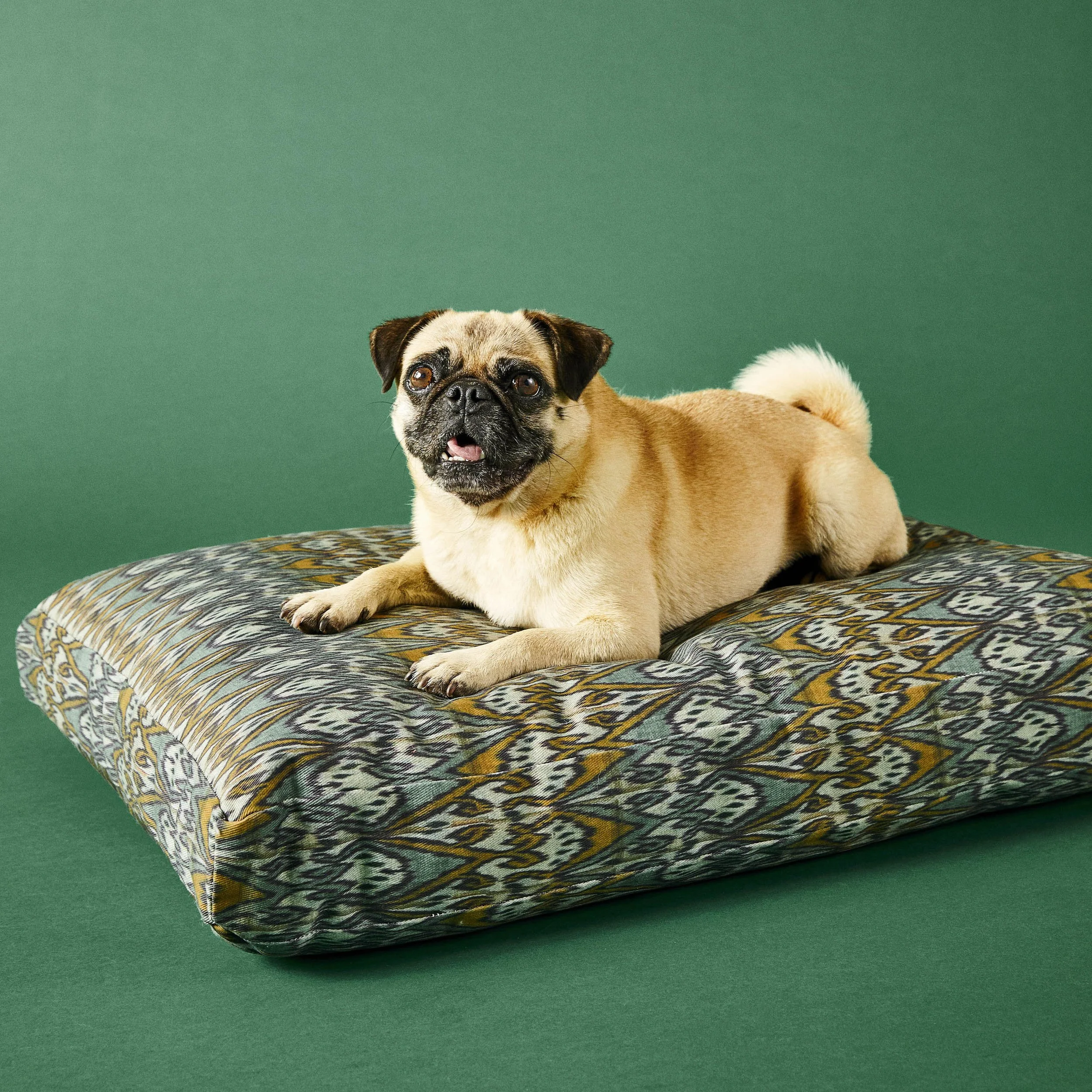 210817_ETSY_DAY-02_DOG-BED-1_0105.jpg