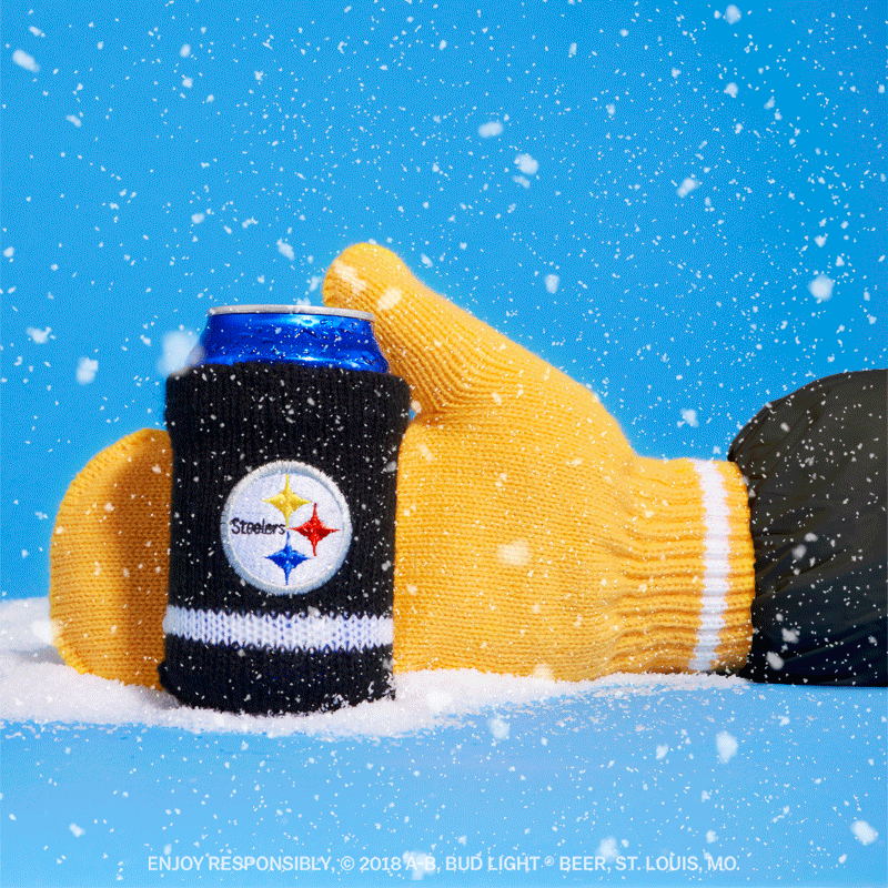 Steelers-Snowy.gif