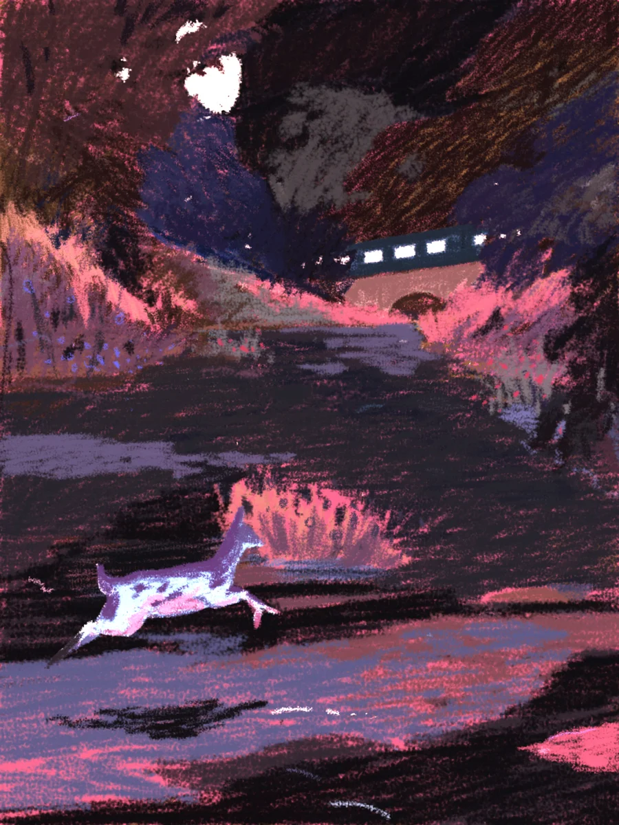 deerrunning092517_02_lowres.jpg