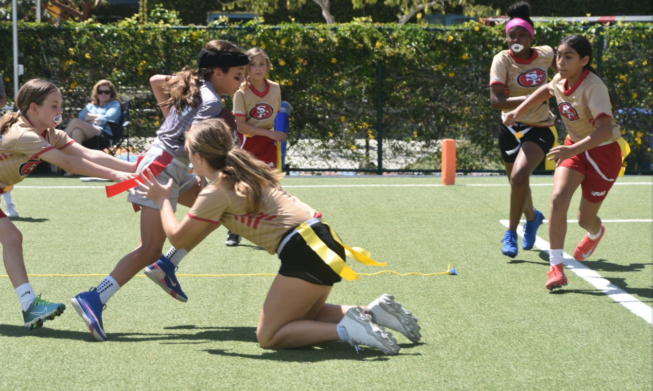 Screenshot 2026-04-02 113337.png