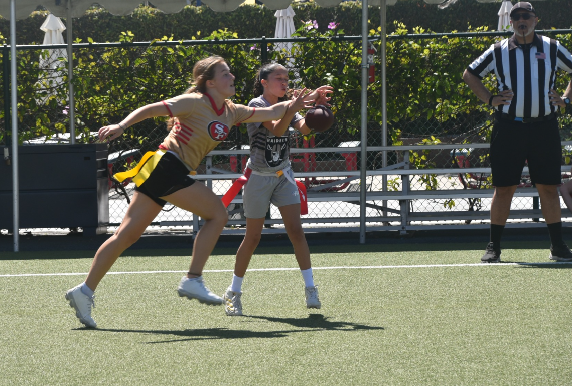 Screenshot 2026-04-02 113514.png