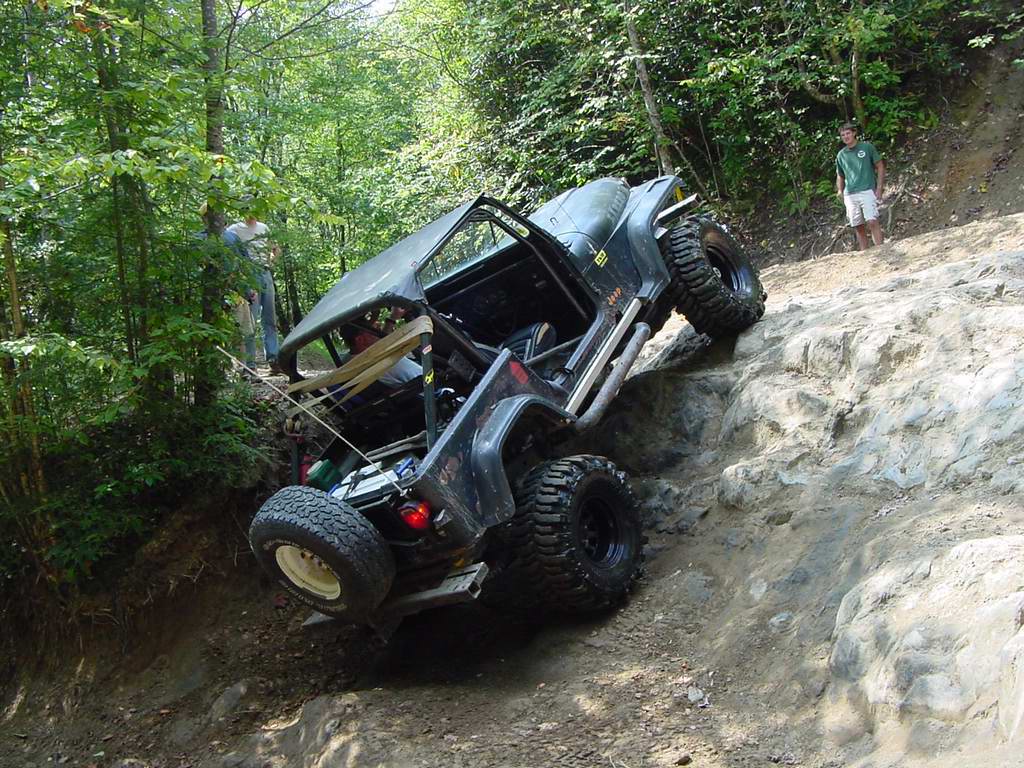tellico