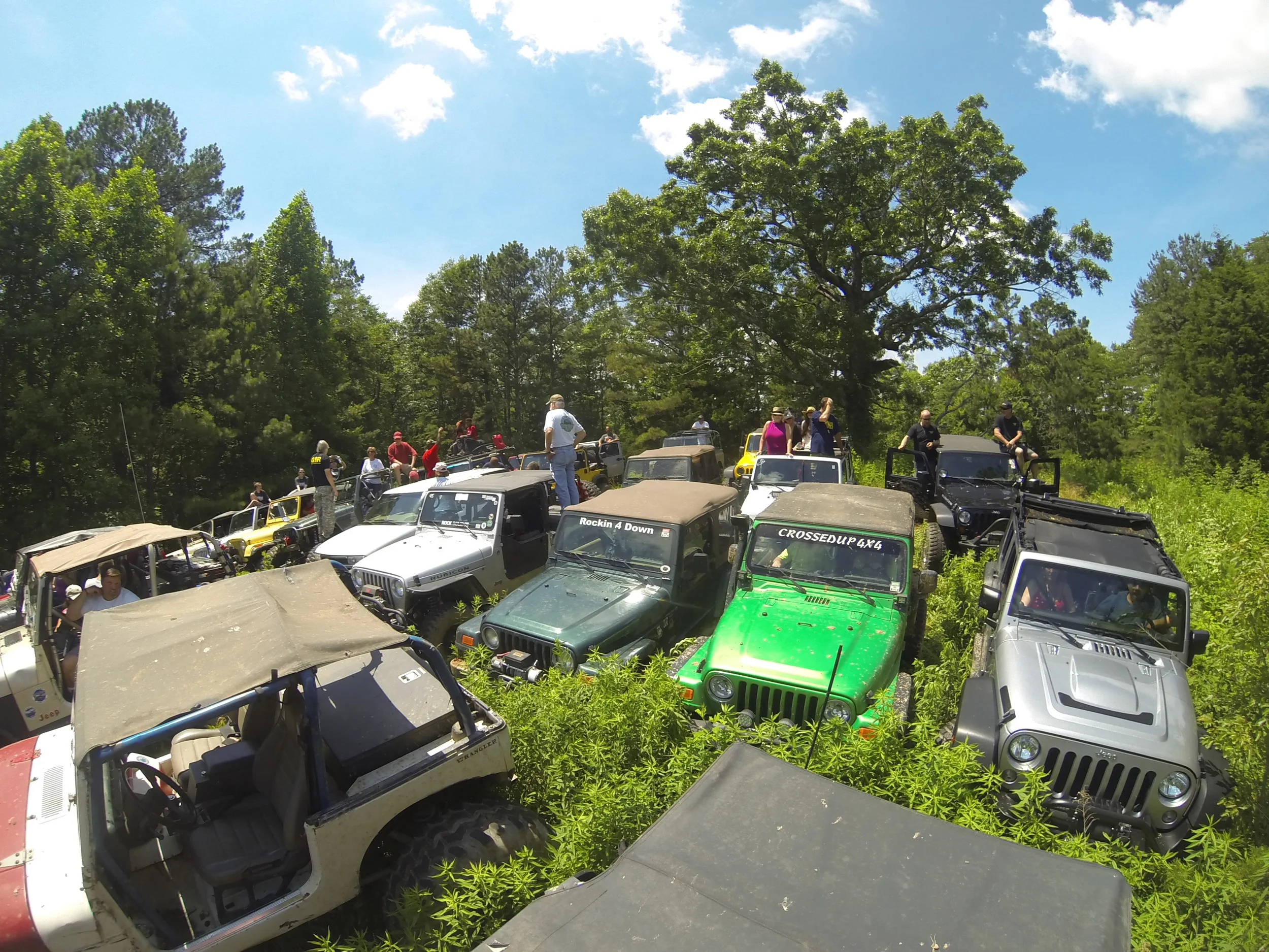 SFWDA Nov. Meet and Ride