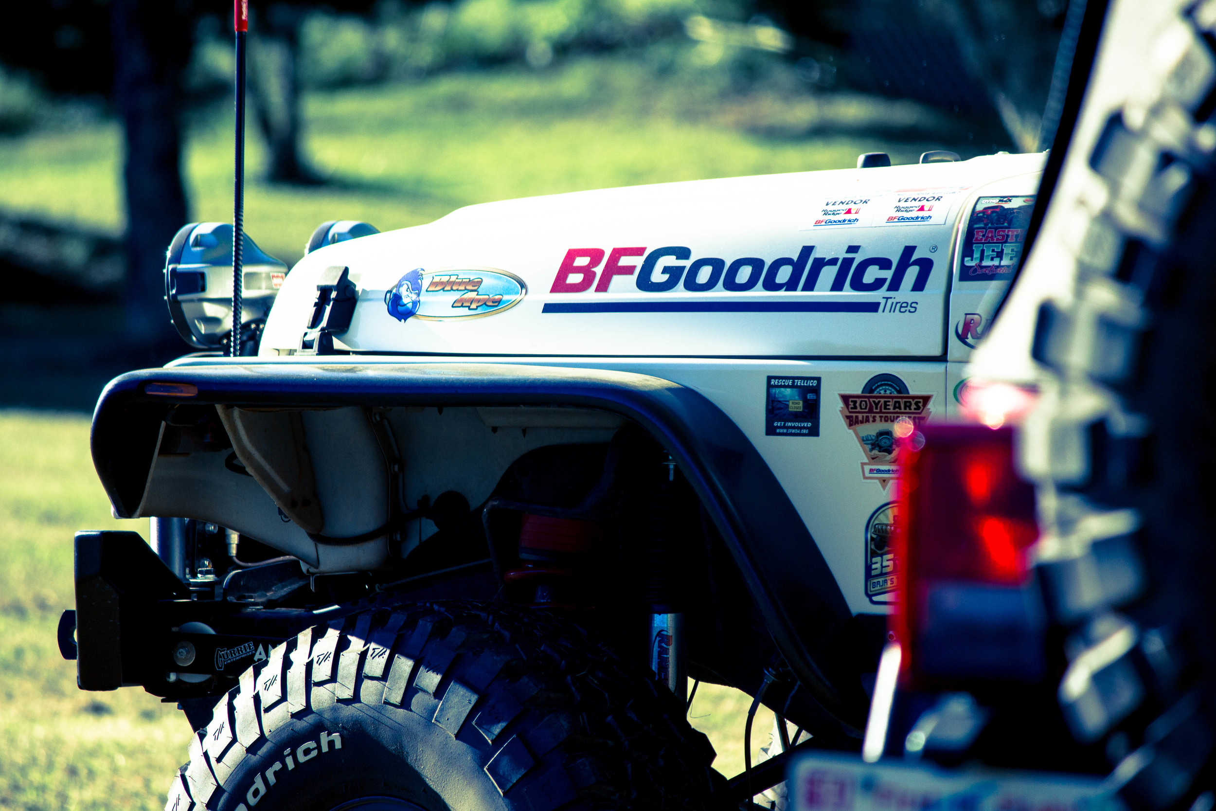 Dixie Run 28 Wrap-Up; A Success for all members of SFWDA