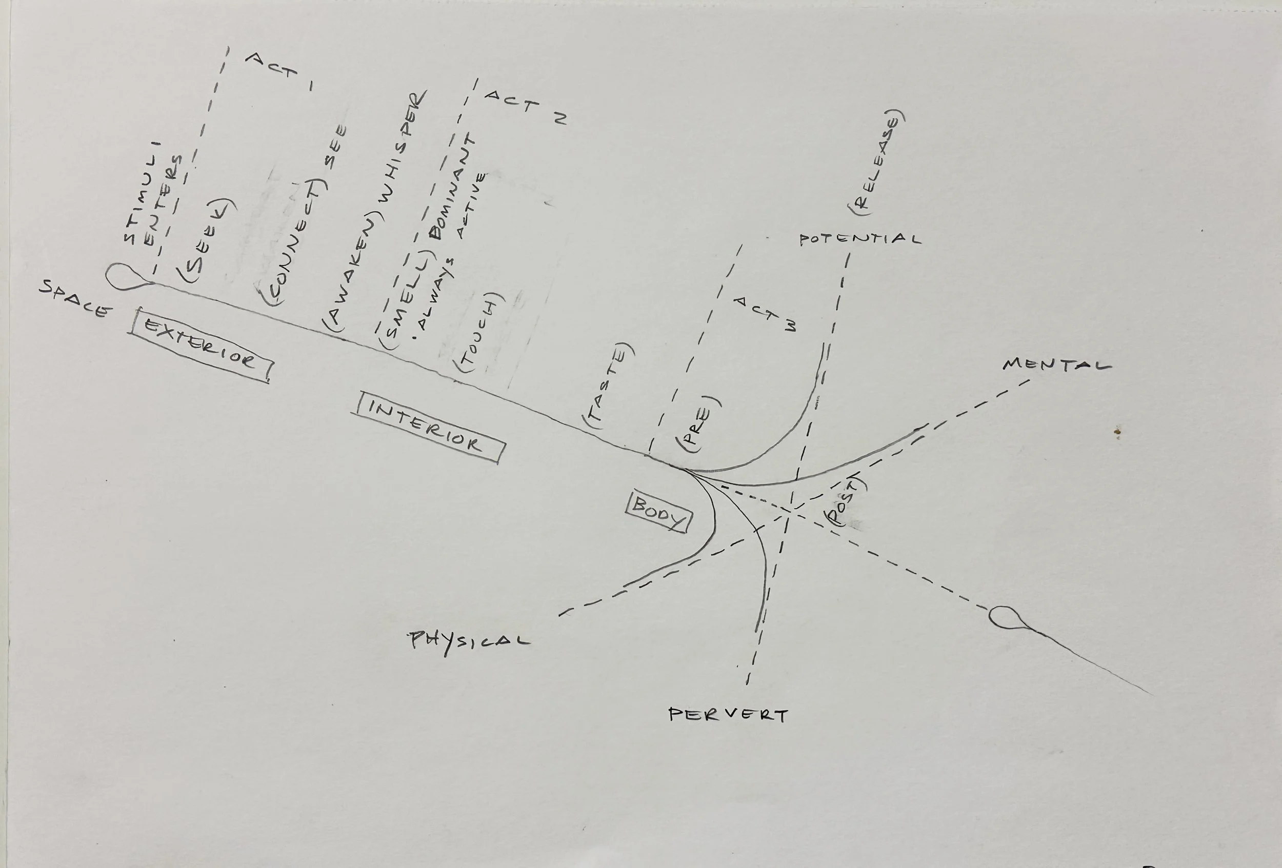Path of Stimulus (Erotic)