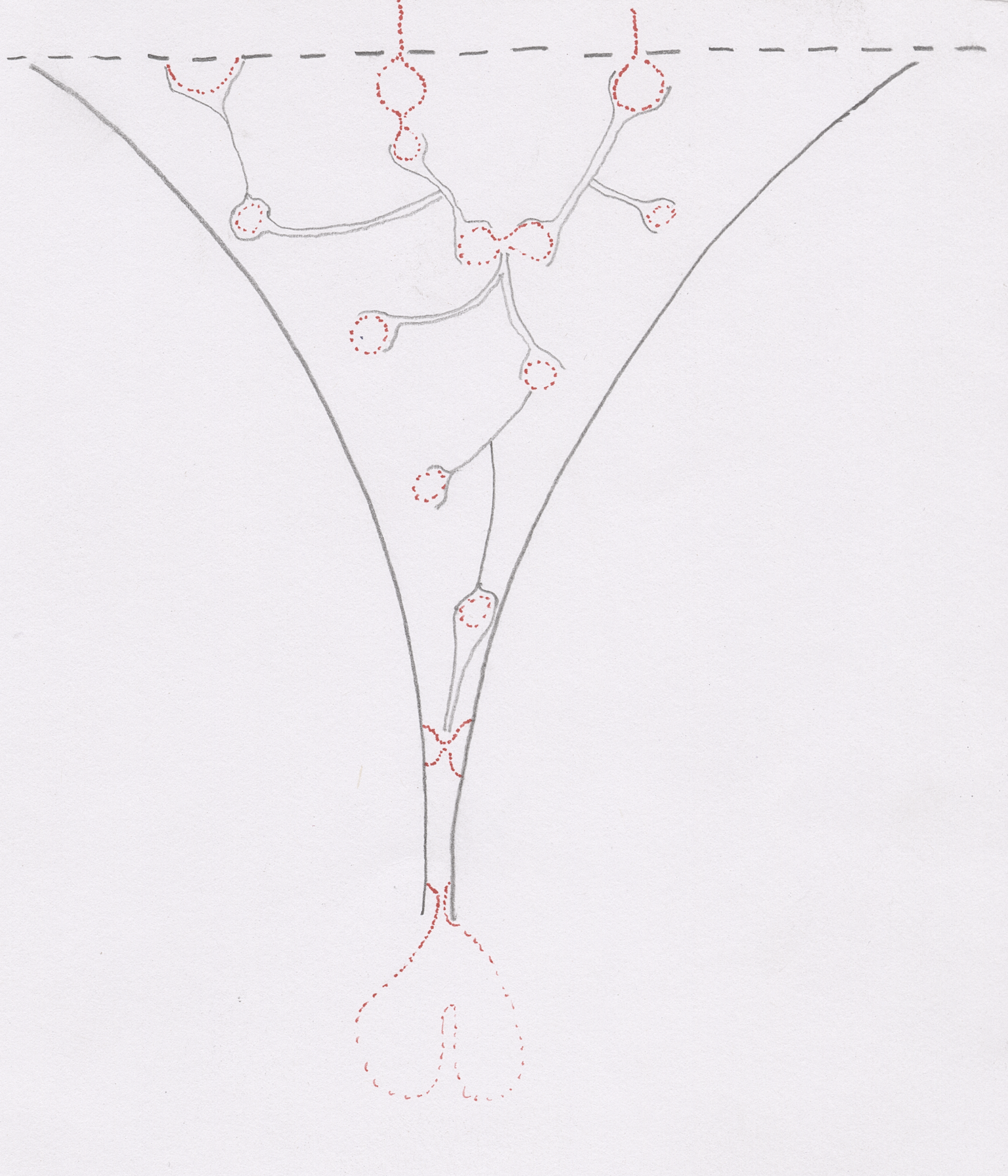 Screenshot 2026-08-25 at 01.39.55.png
