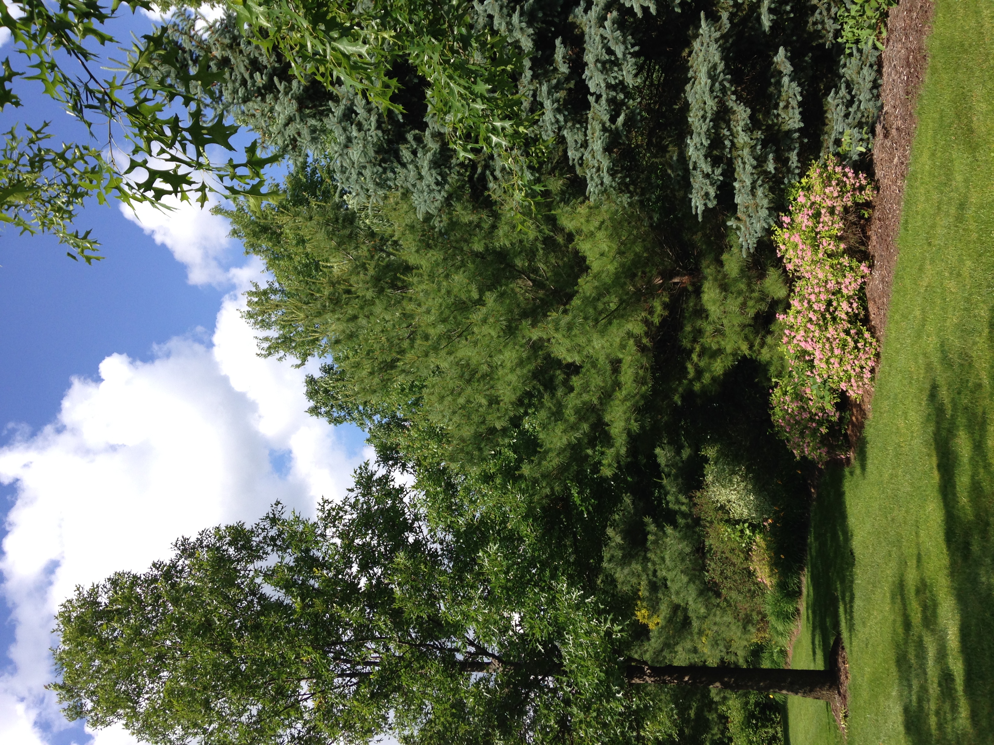 Ingersoll Landscape Company