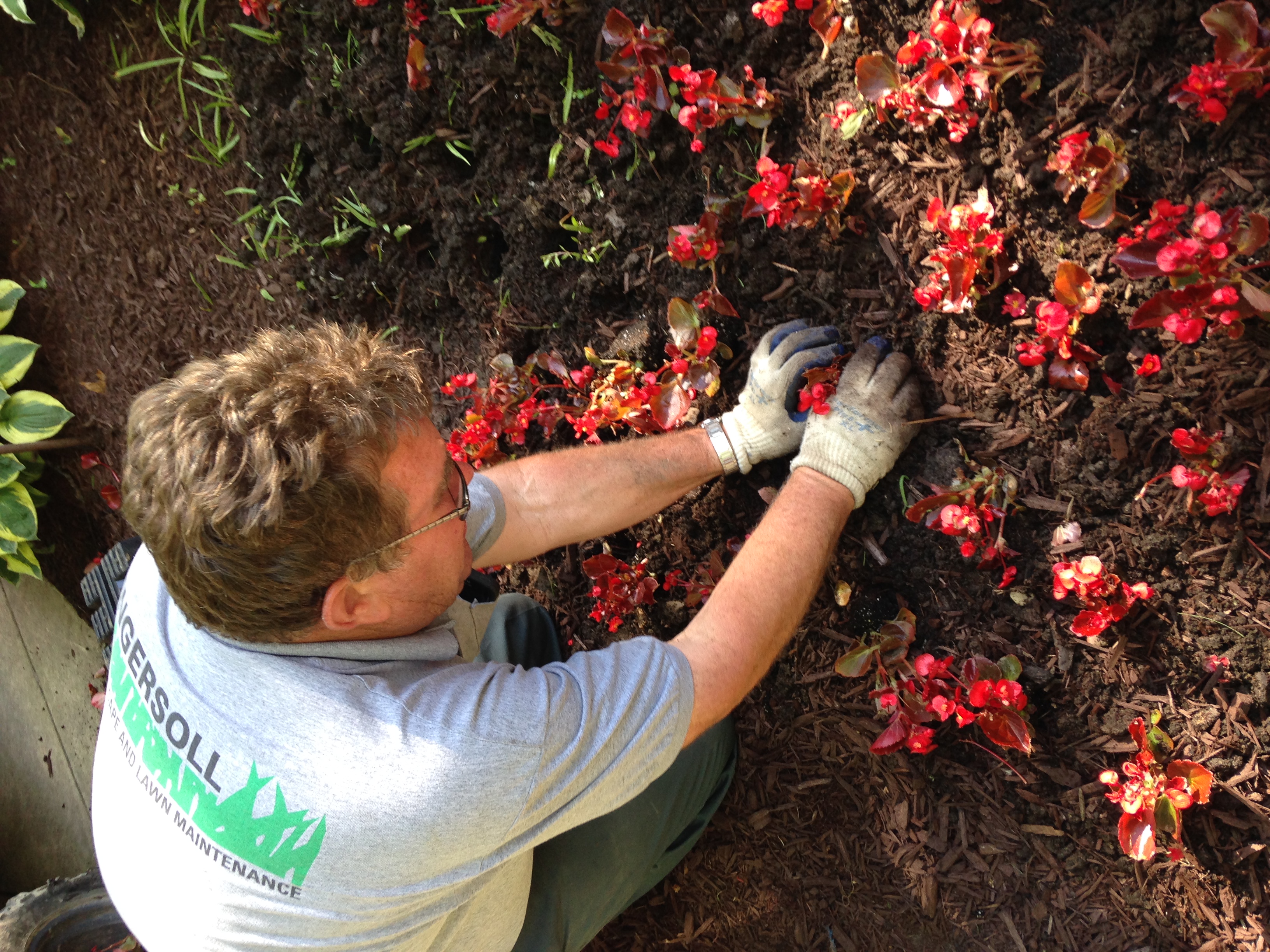 Ingersoll Landscape Company