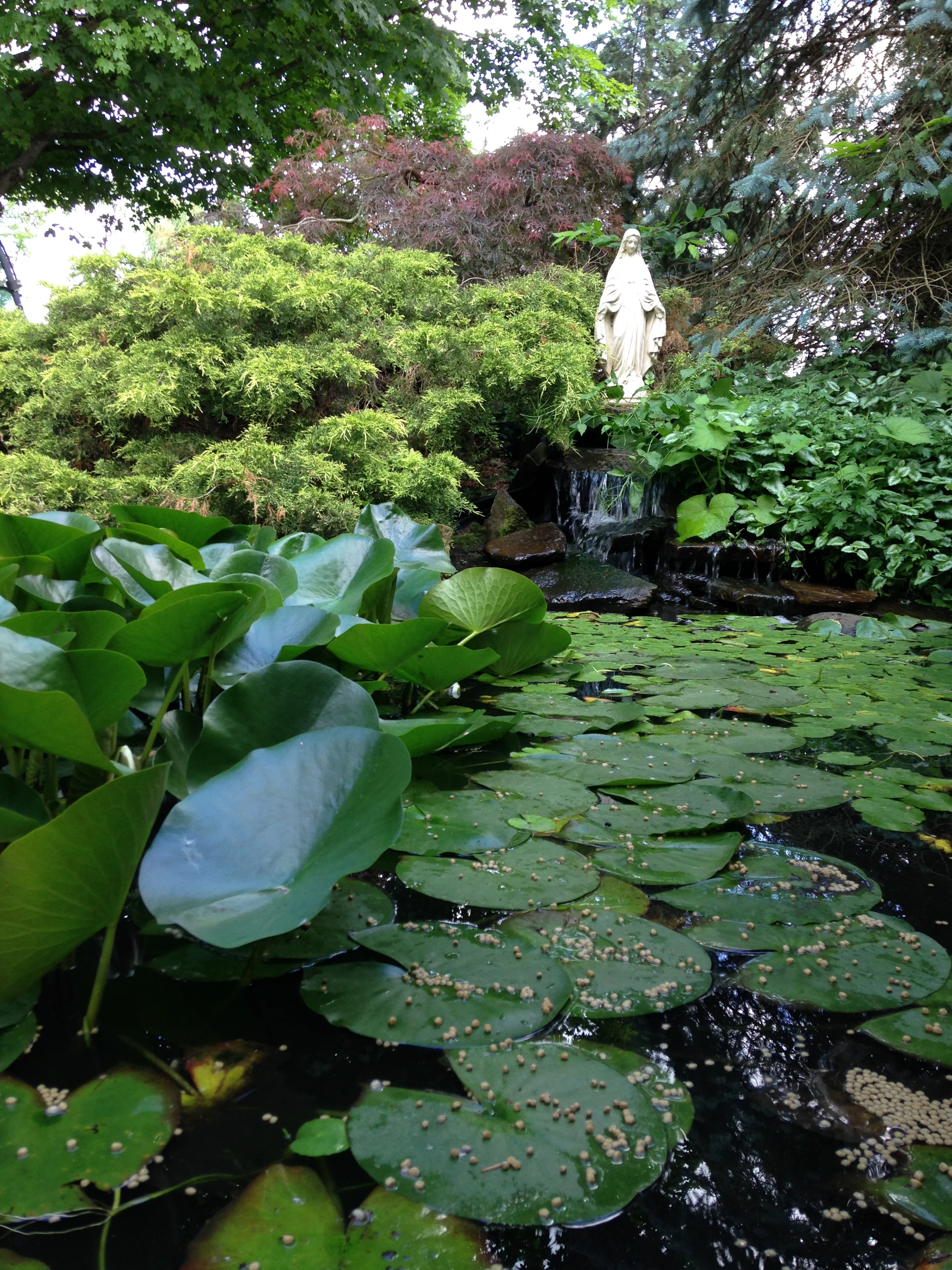 Ingersoll Landscape Company