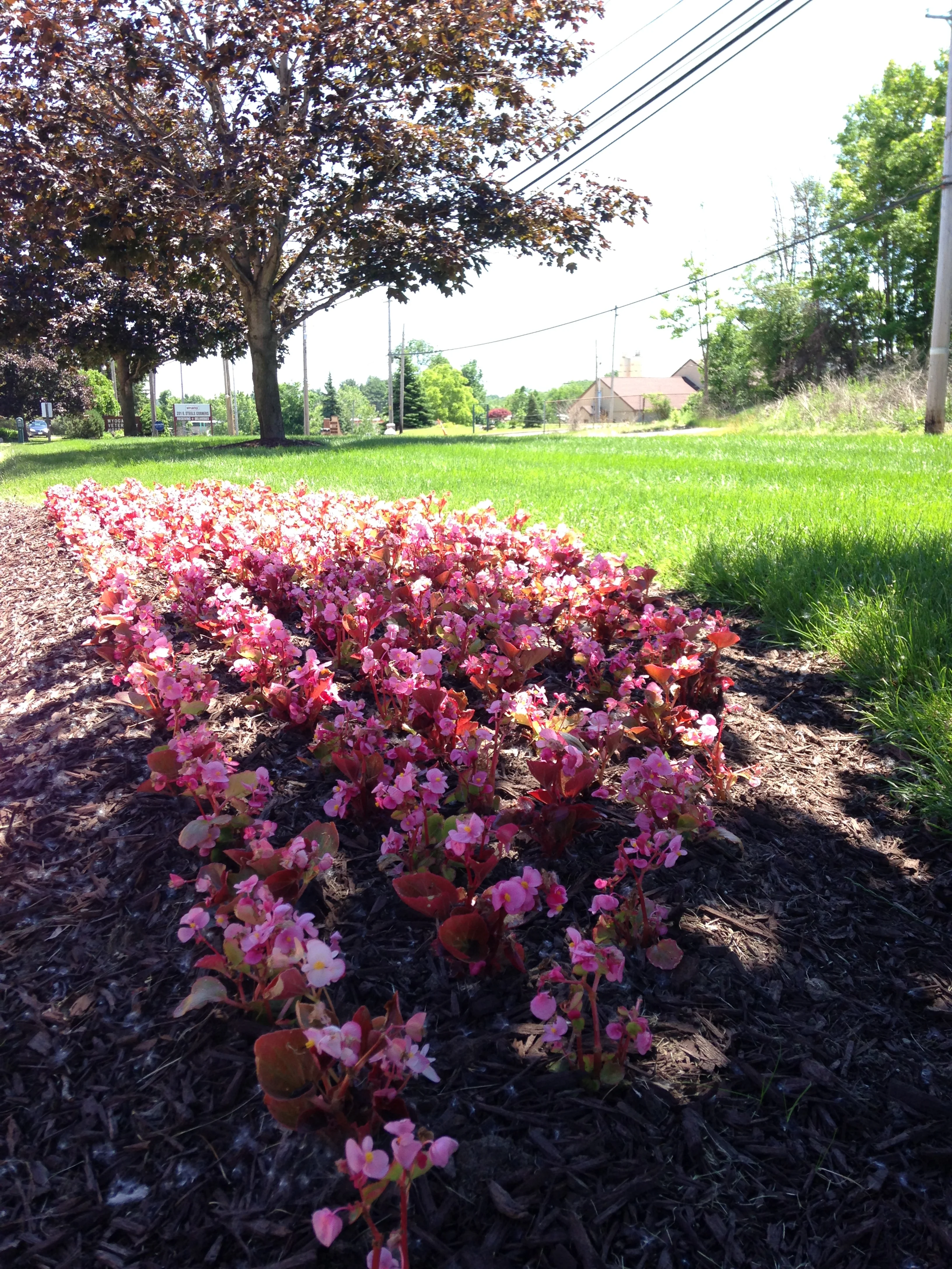 Ingersoll Landscape Company