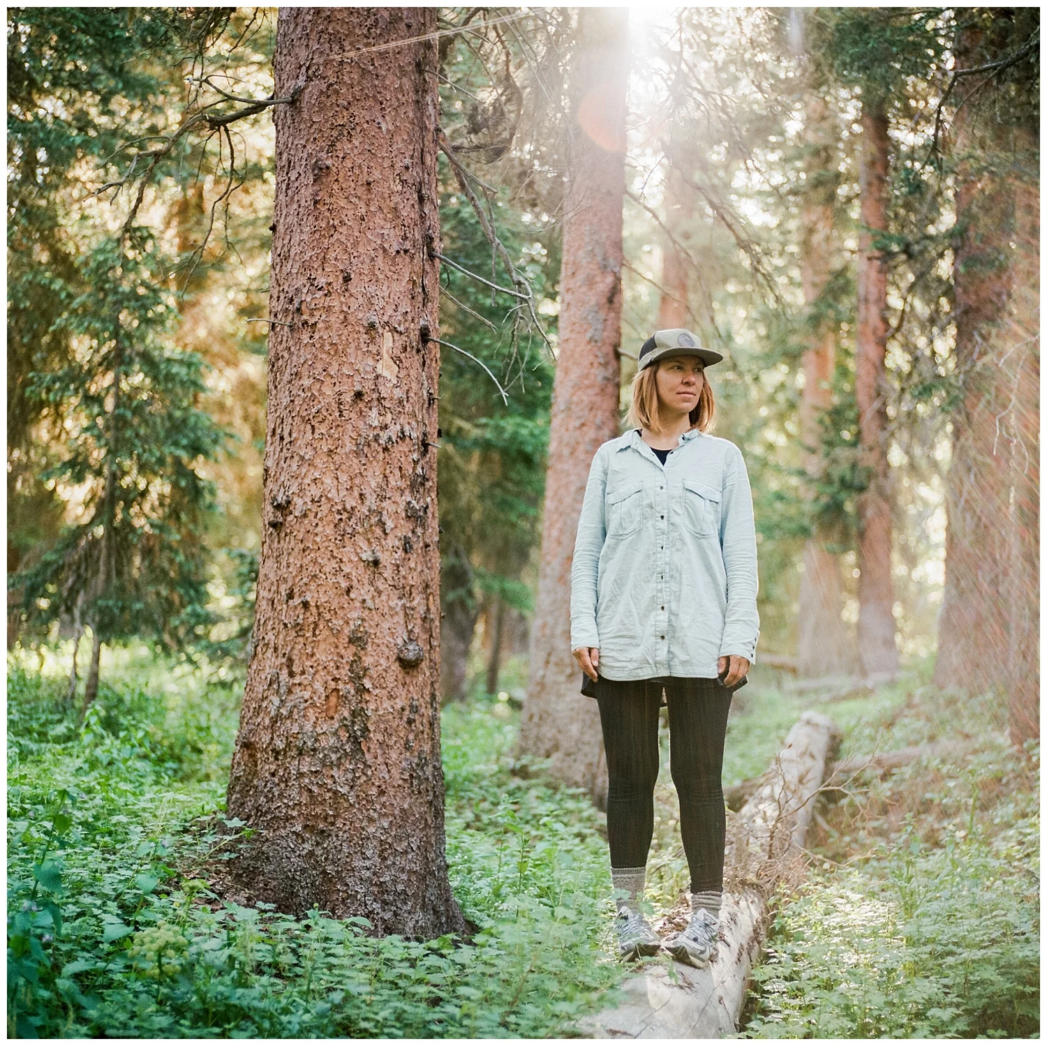 Hasselblad 500 C/M Kodak Portra 400