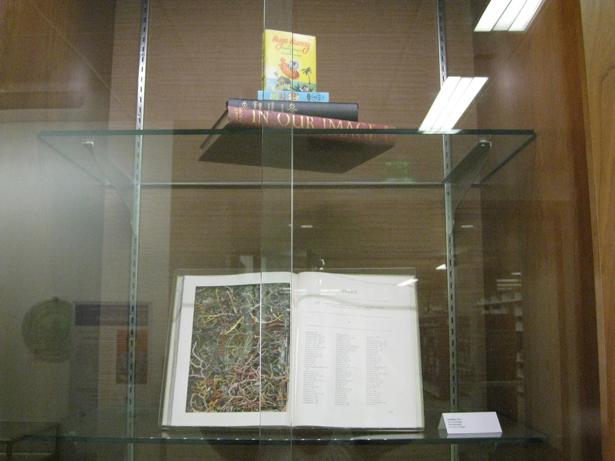 SironiExhibition2013 024.jpg
