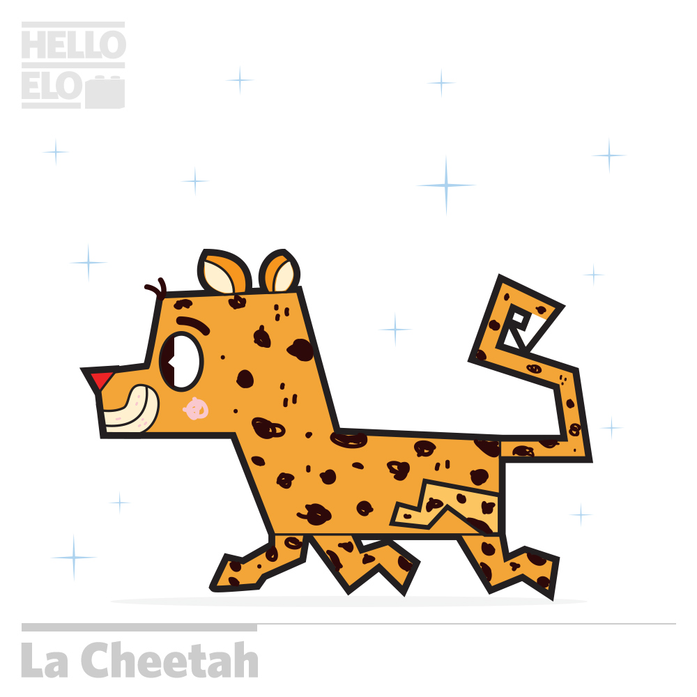 cheetah.jpg