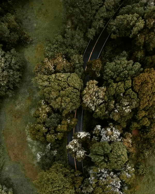 ezgif.com-optimize (2).gif