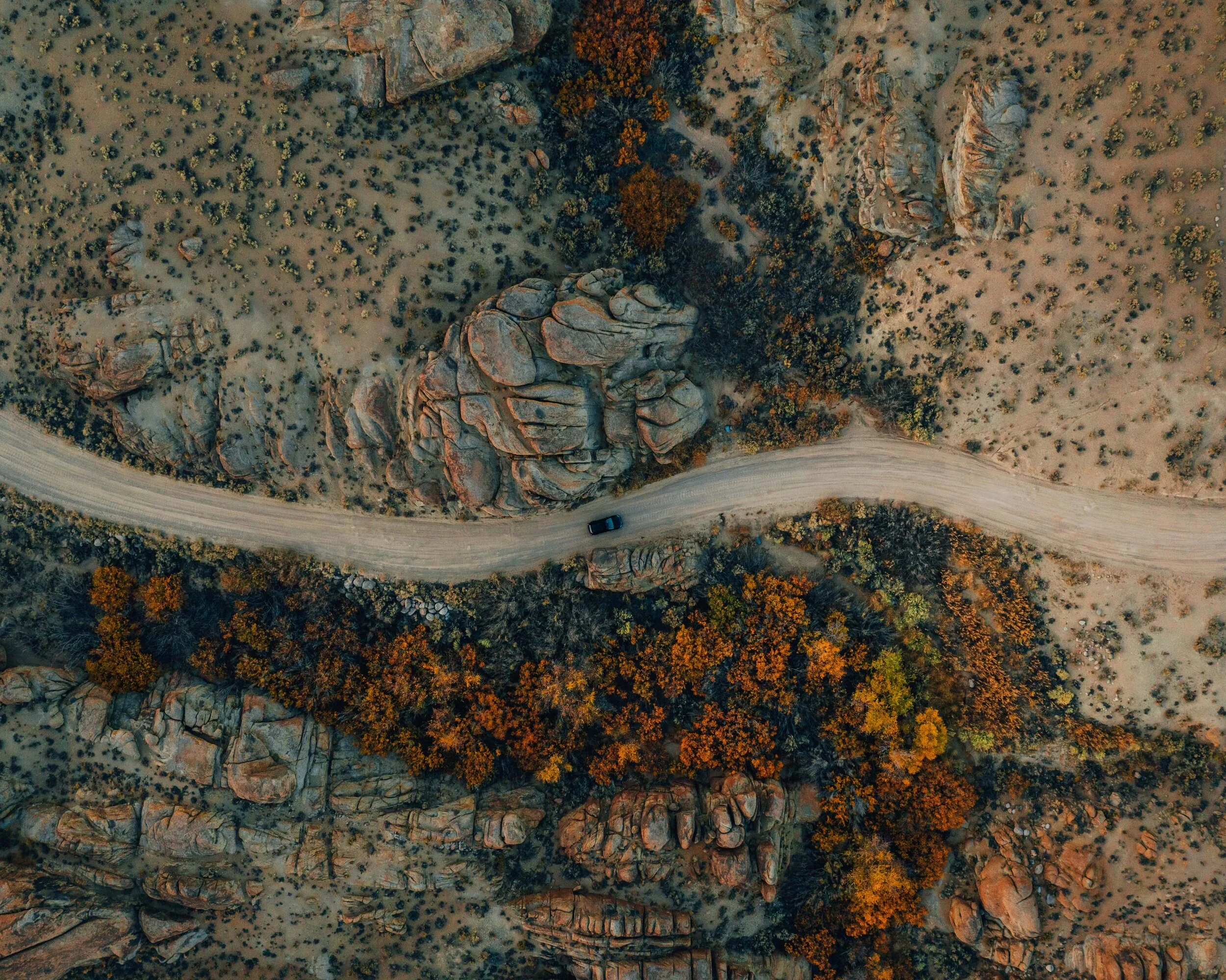 DJI_0171.jpg