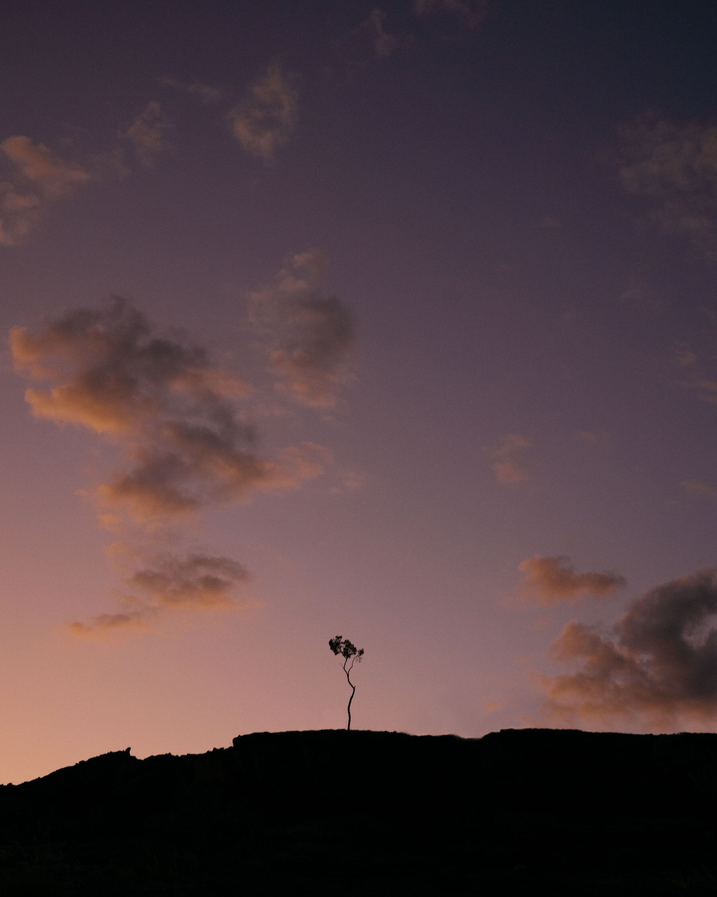 RX100V-7665-Edit.jpg