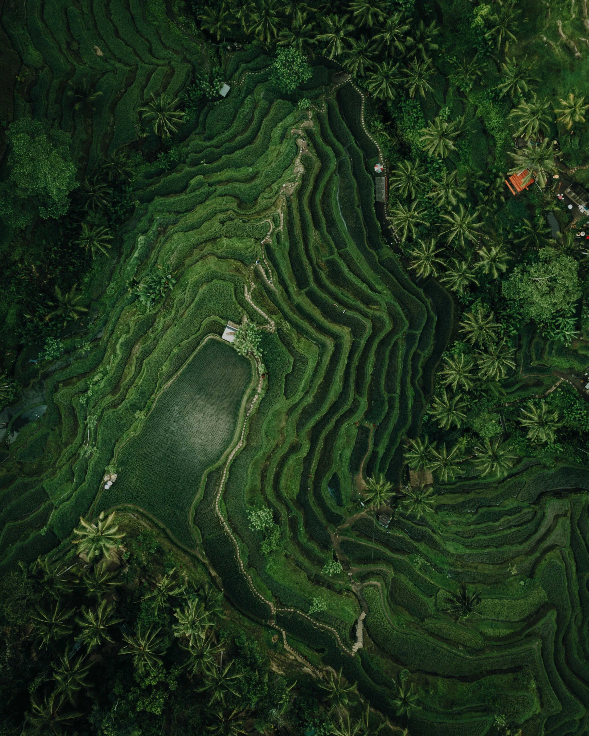 DJI_0120.jpg