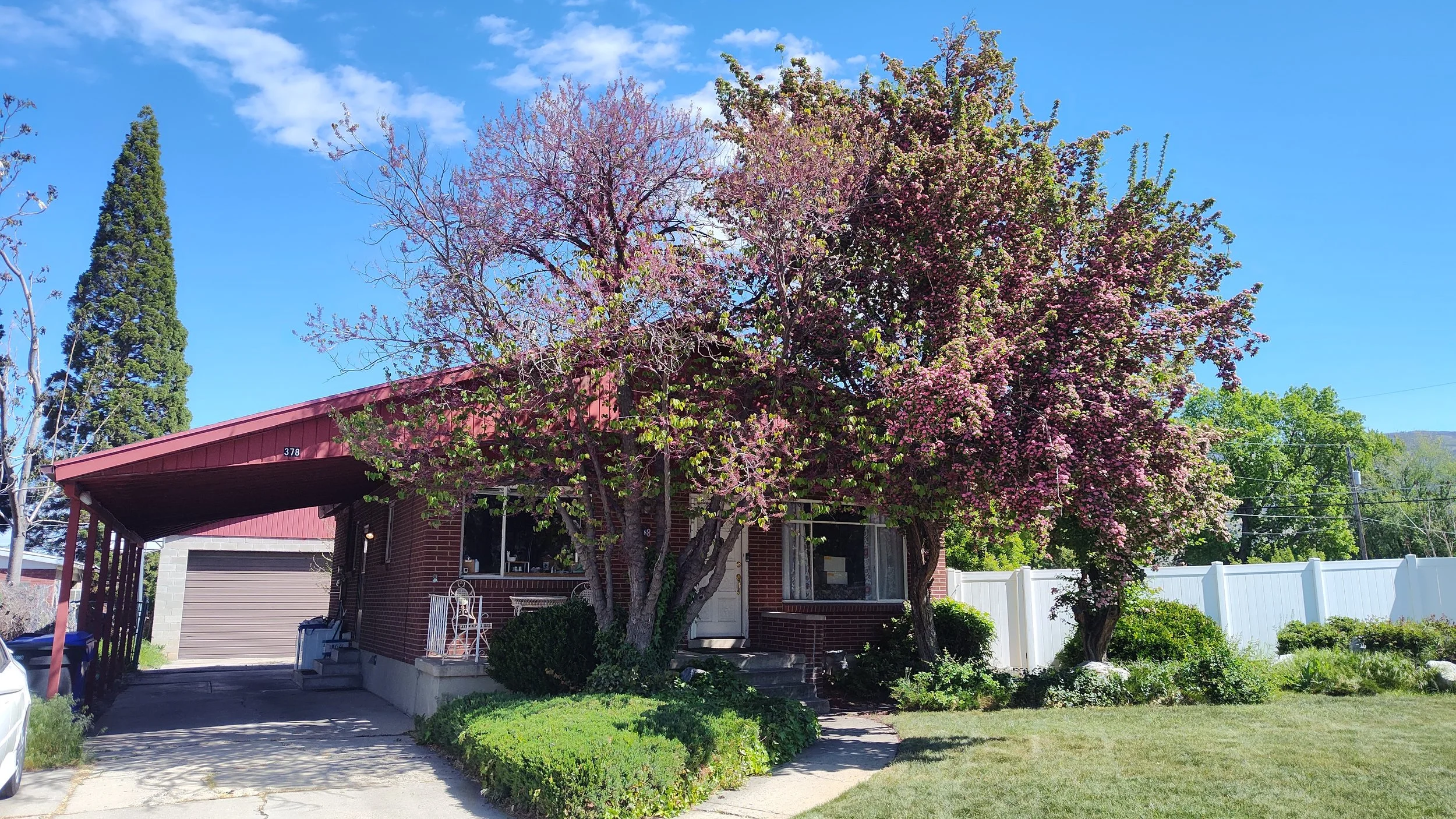 This cute house will be for sale soon, too!