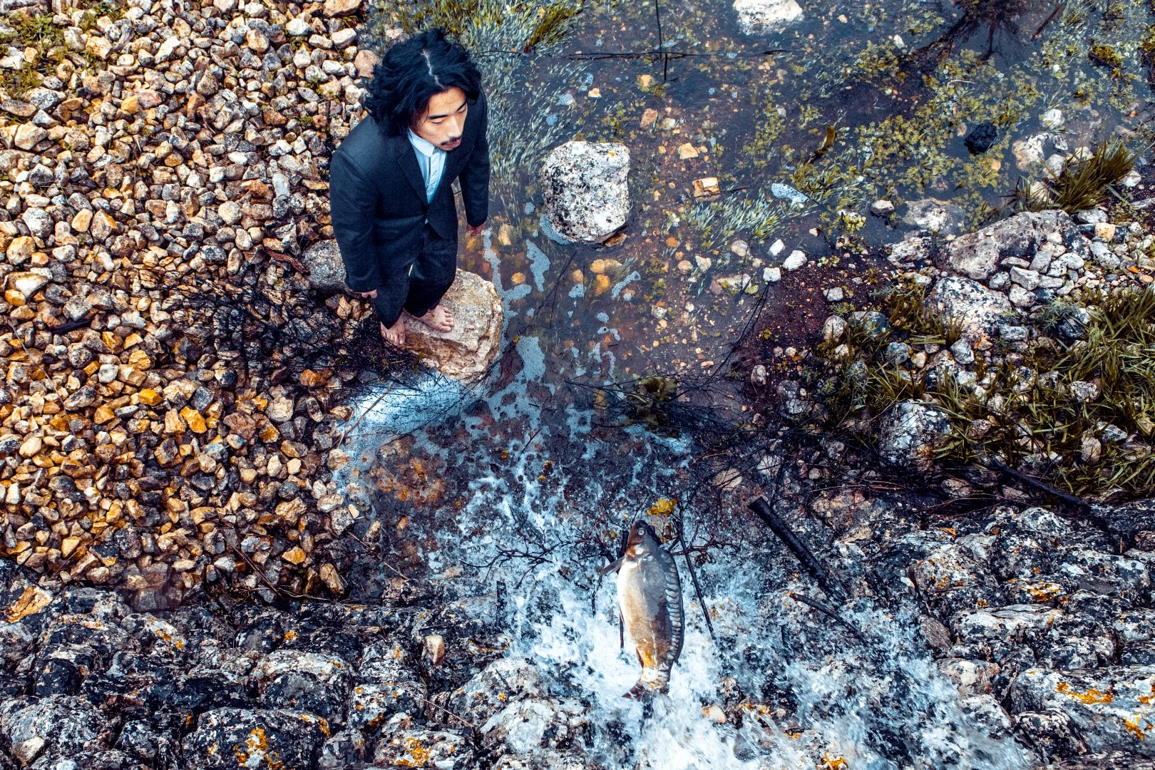 Alexapt Alex Apt Photography - FISH