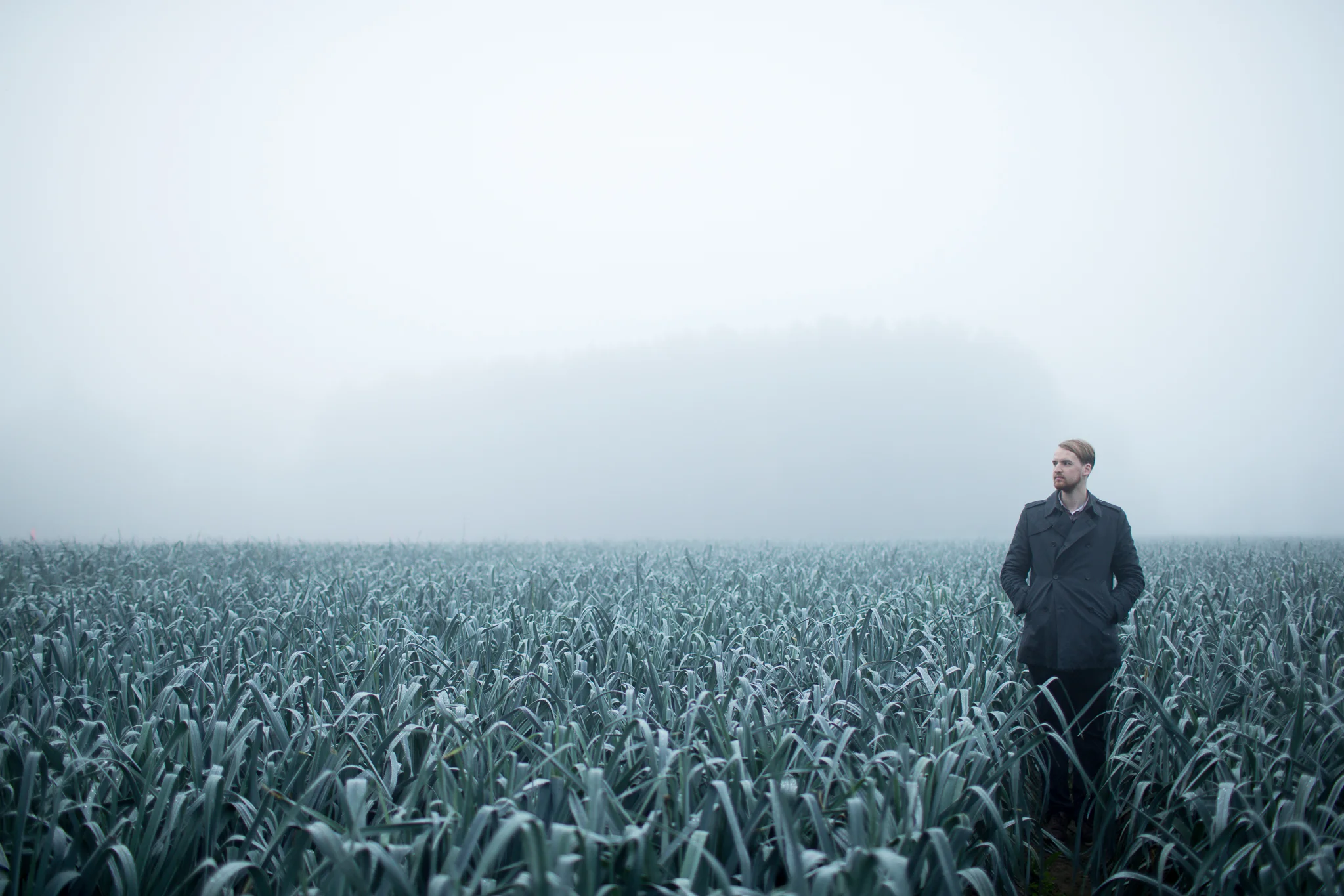 Yannick Van Aecken