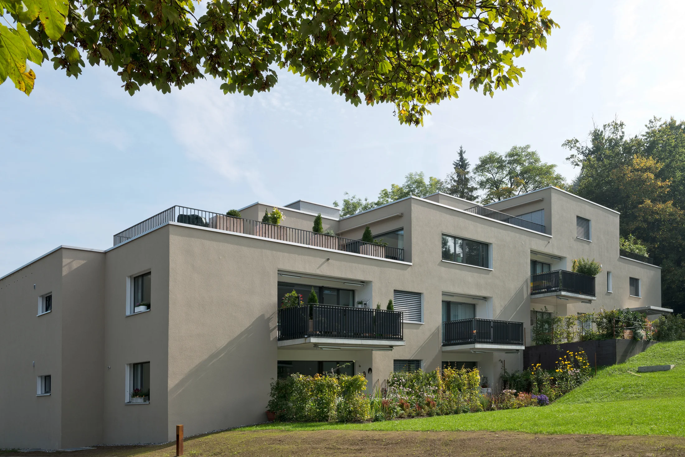MFH_Siedlung_Allmend_26.jpg