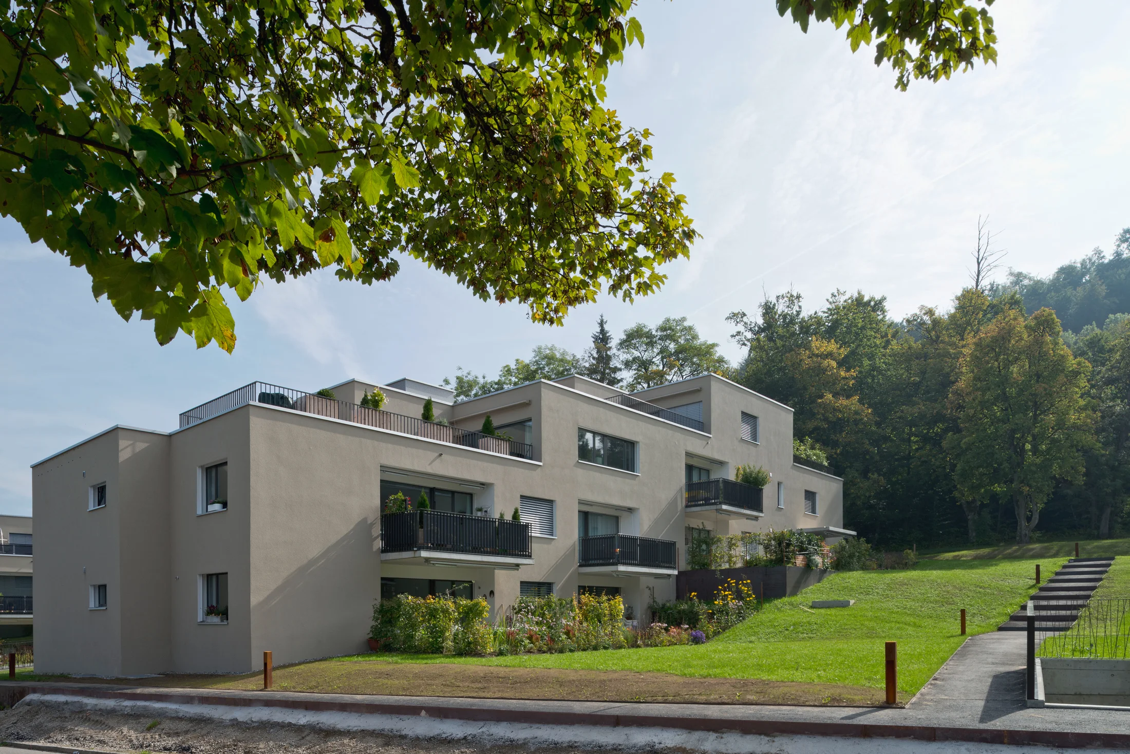 MFH_Siedlung_Allmend_27.jpg