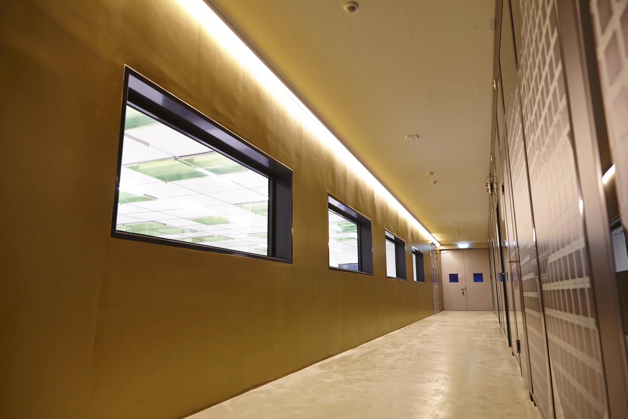 FSP-PEARL-020-042.jpg