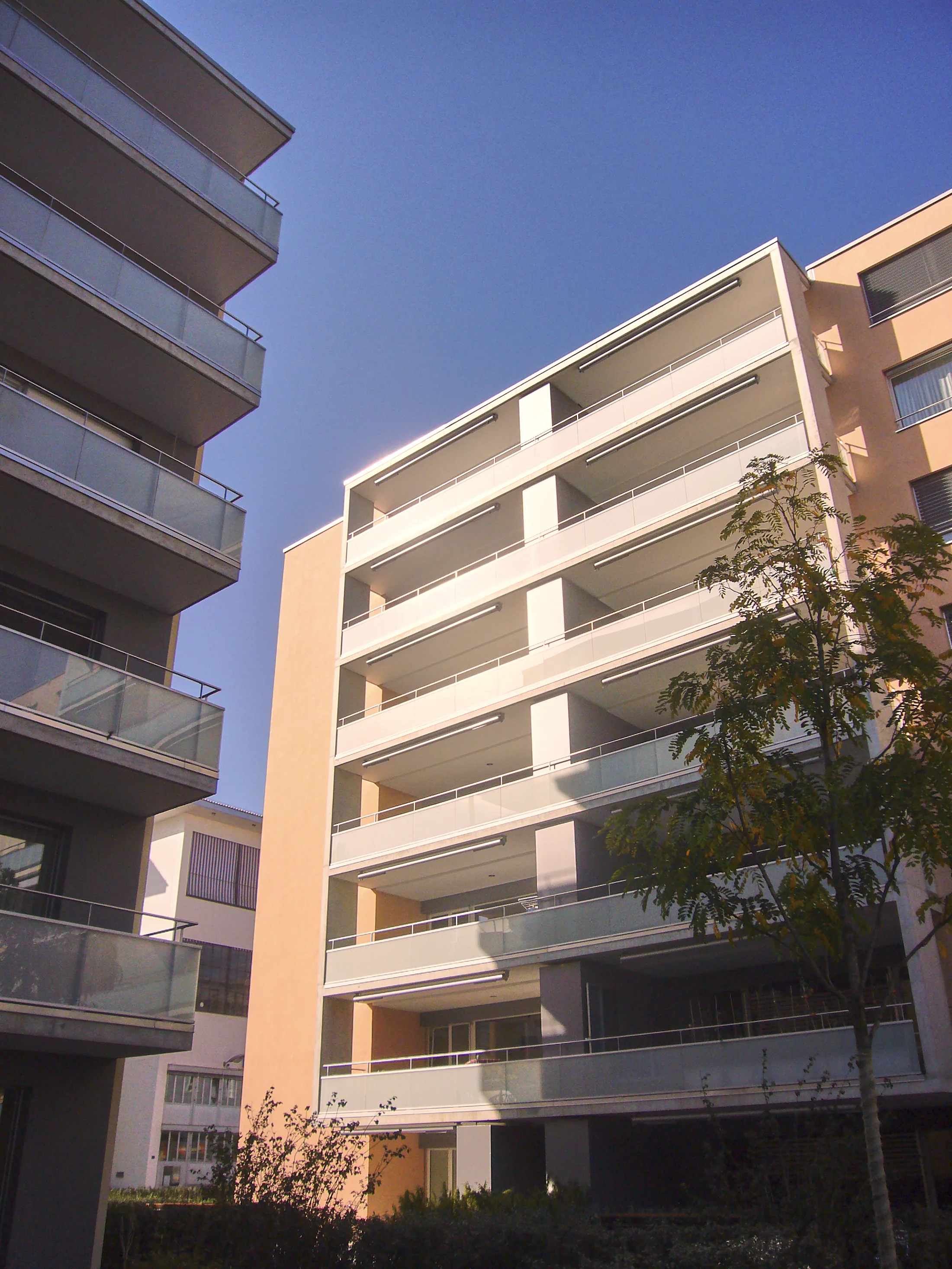 FSP359-MARTINSBERG-207.jpg