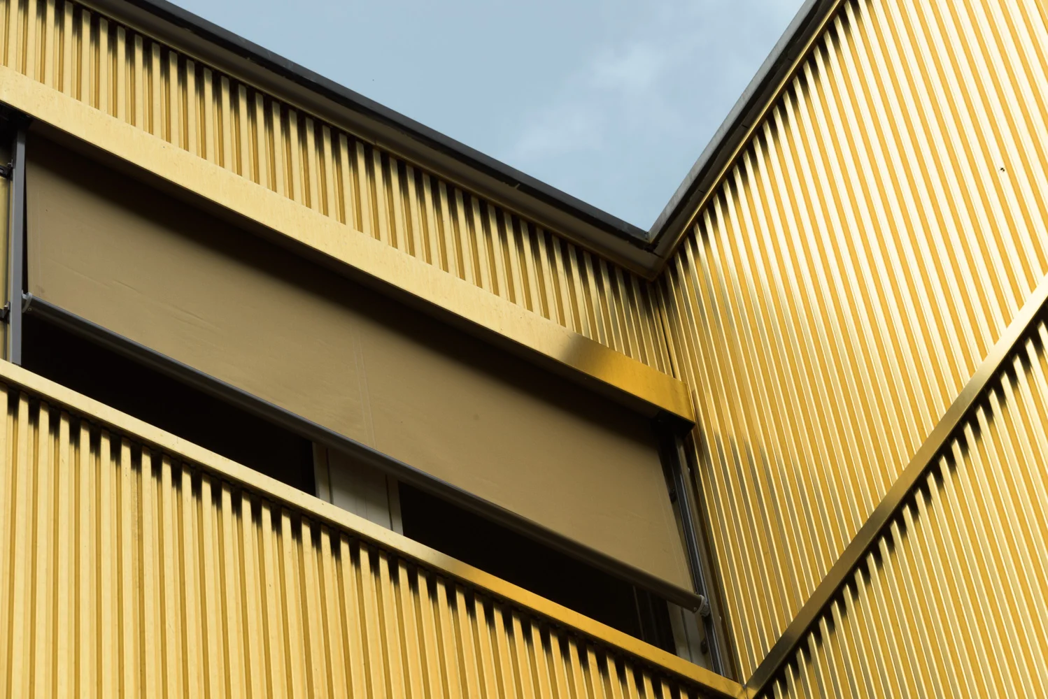 FSP EFH LENHERR-1015-037.JPG