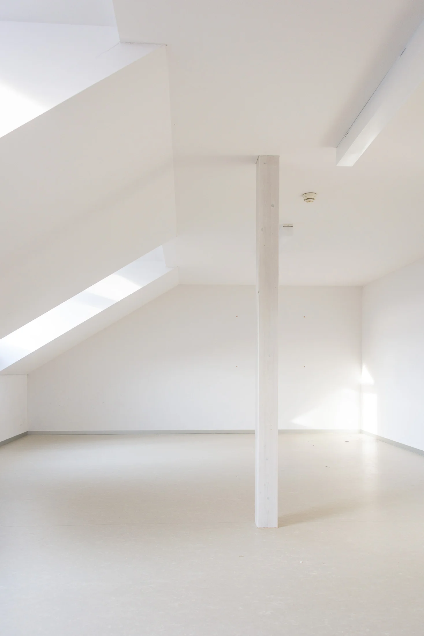 FSP557 PROVISORIUM BRUGG 0116-334.JPG