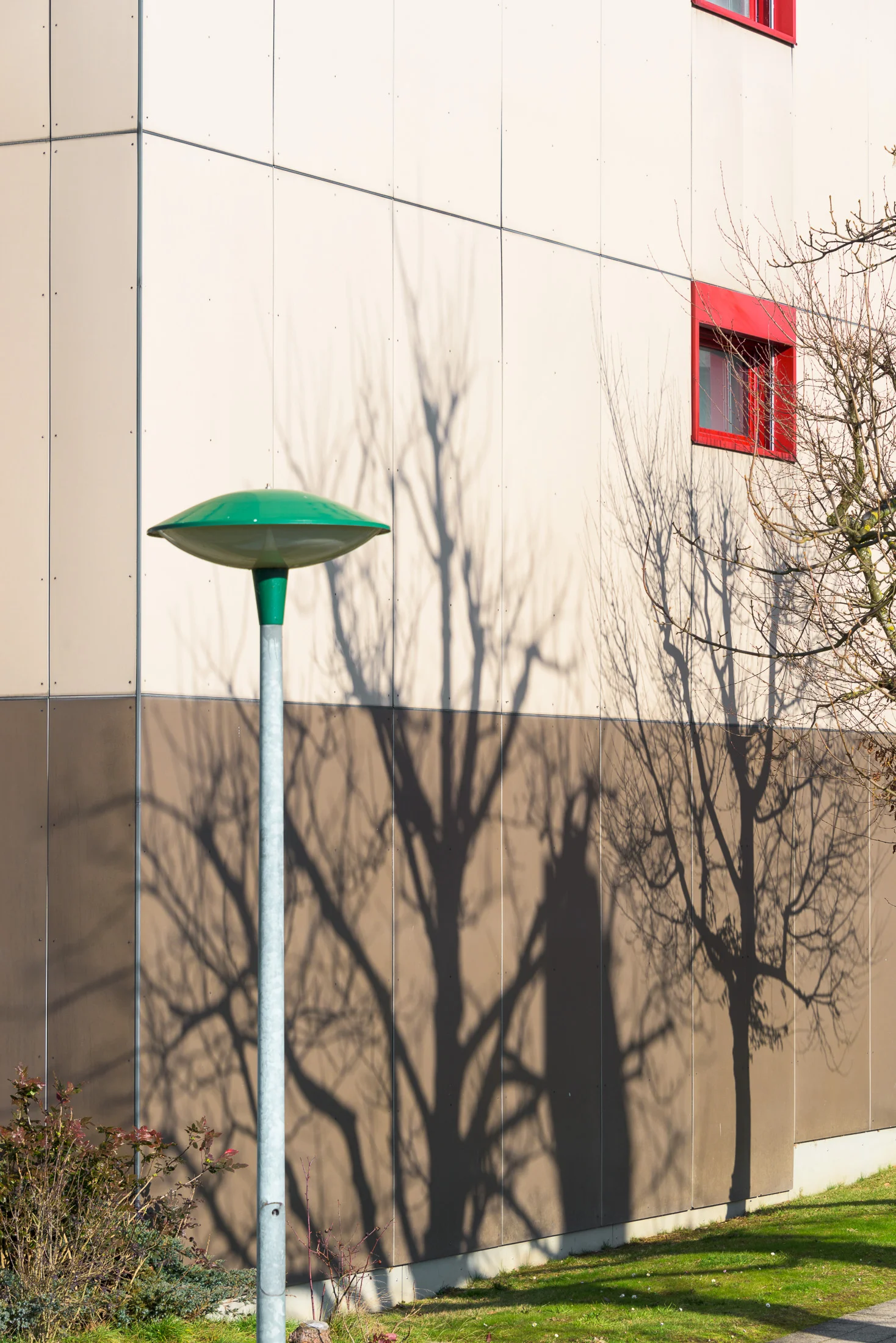 FSP471-MFH-ROTHRIST 0216-035.JPG