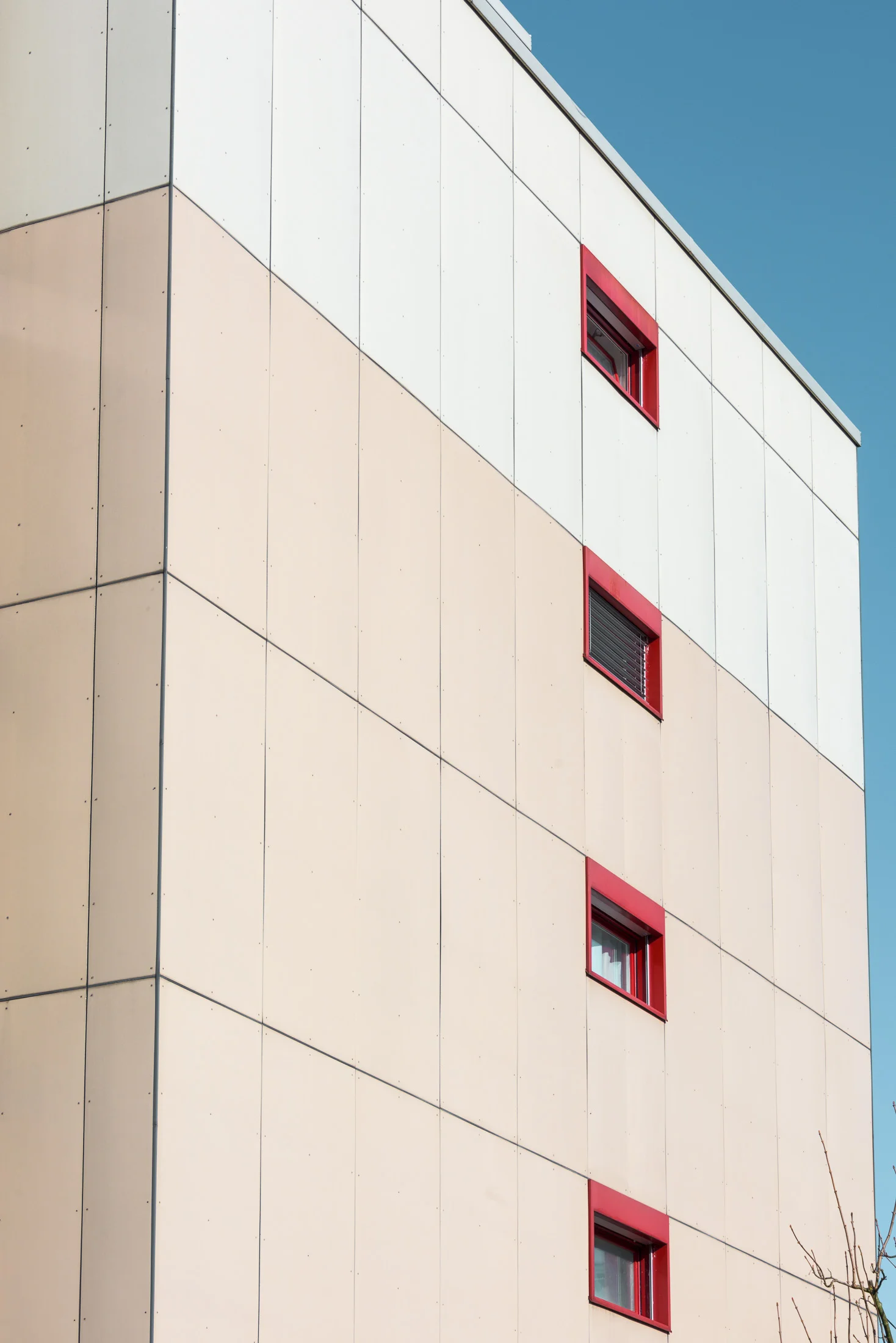 FSP471-MFH-ROTHRIST 0216-043.JPG