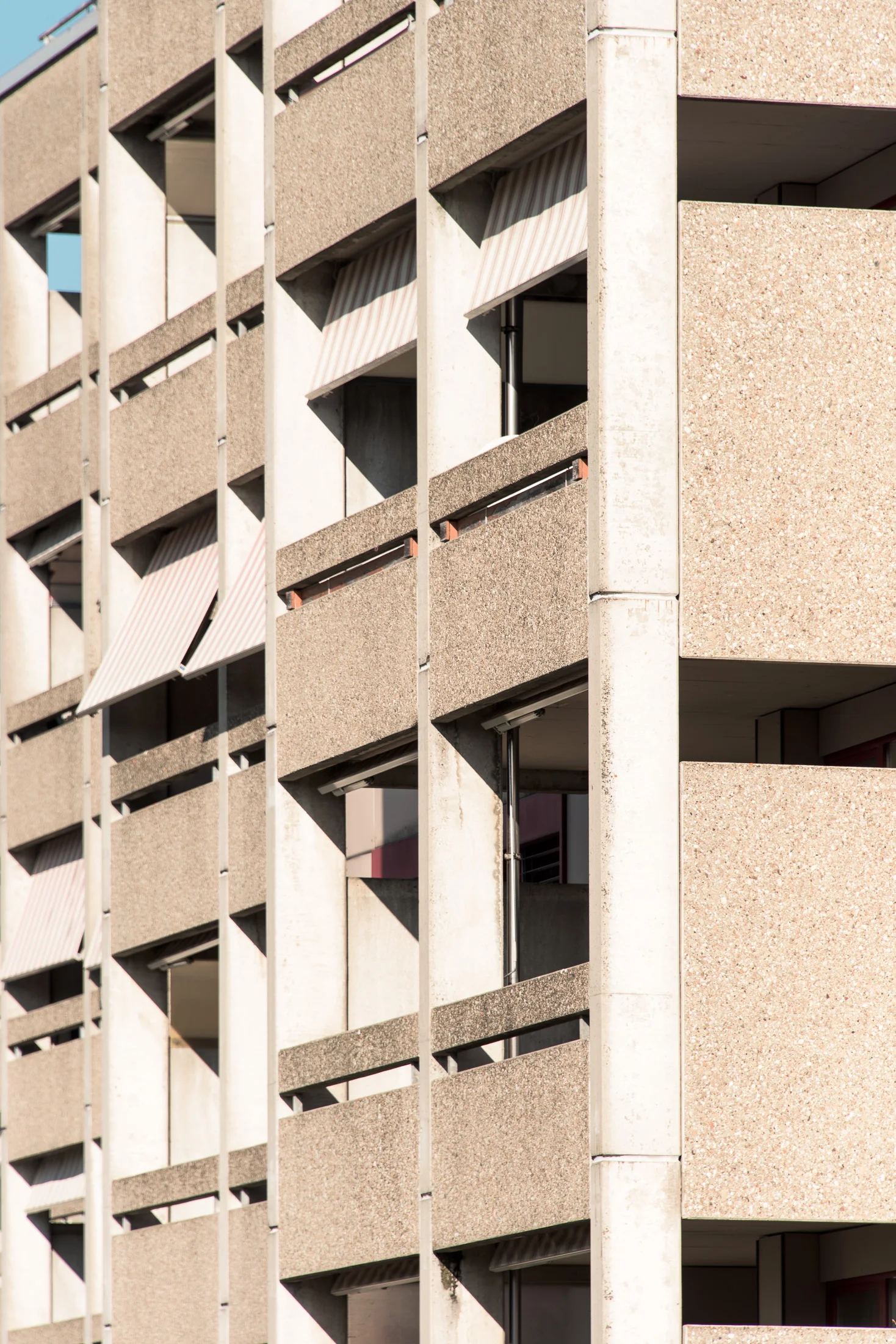 FSP471-MFH-ROTHRIST 0216-050.JPG