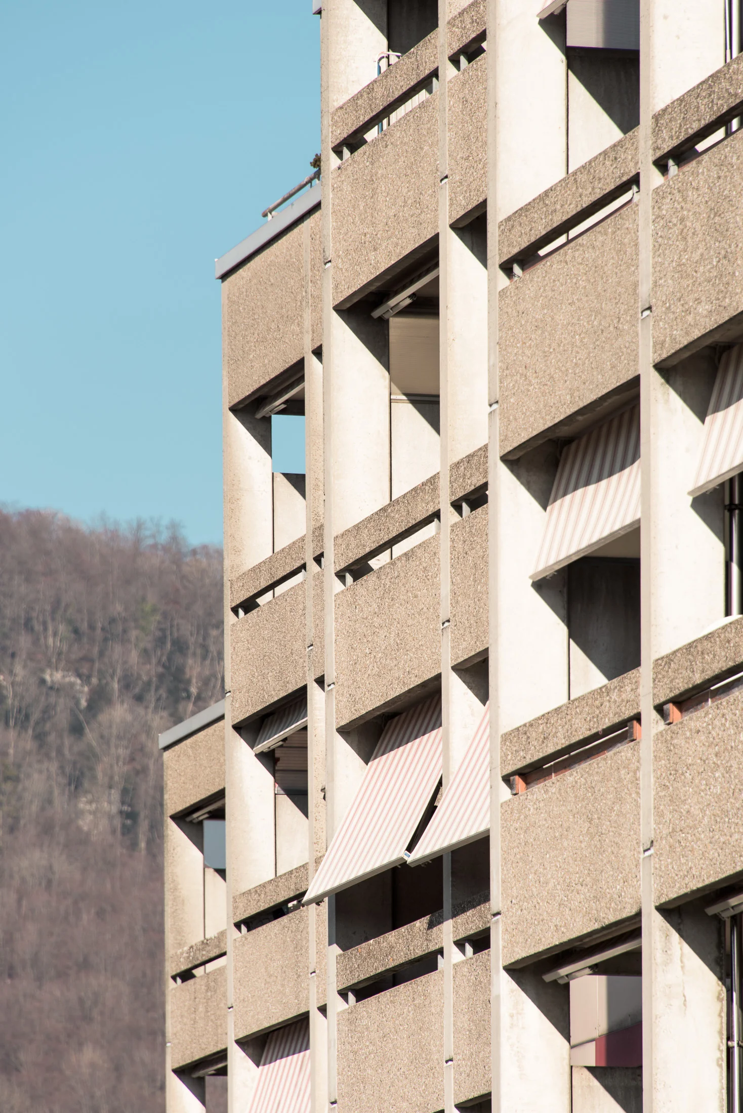 FSP471-MFH-ROTHRIST 0216-051.JPG