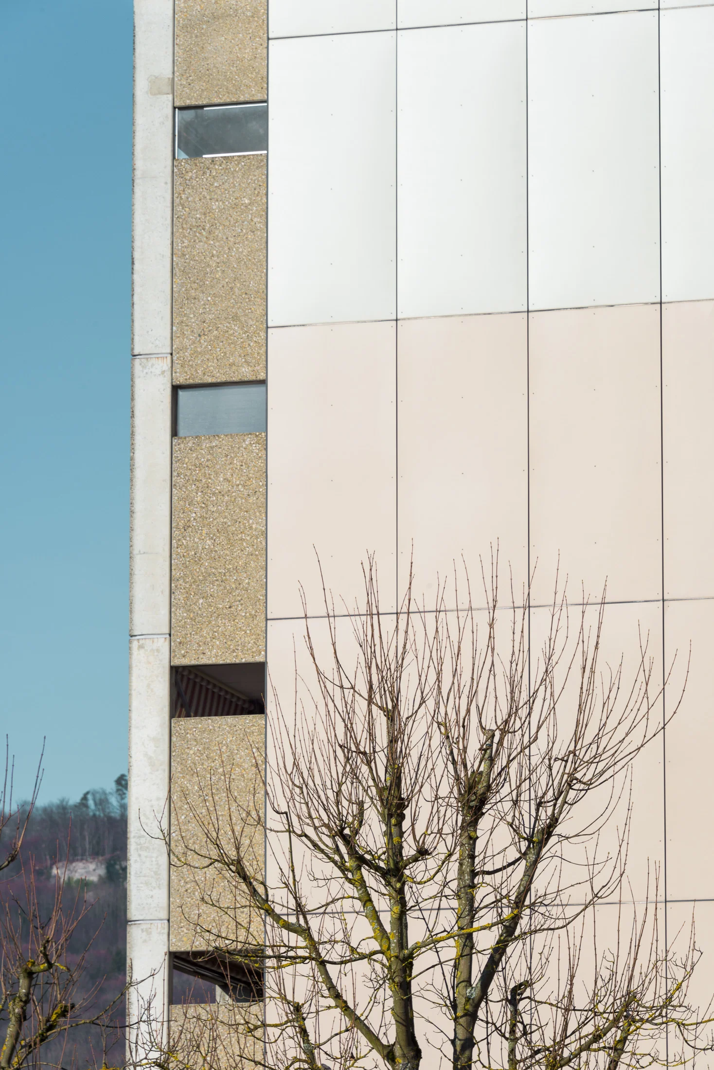 FSP471-MFH-ROTHRIST 0216-065.JPG