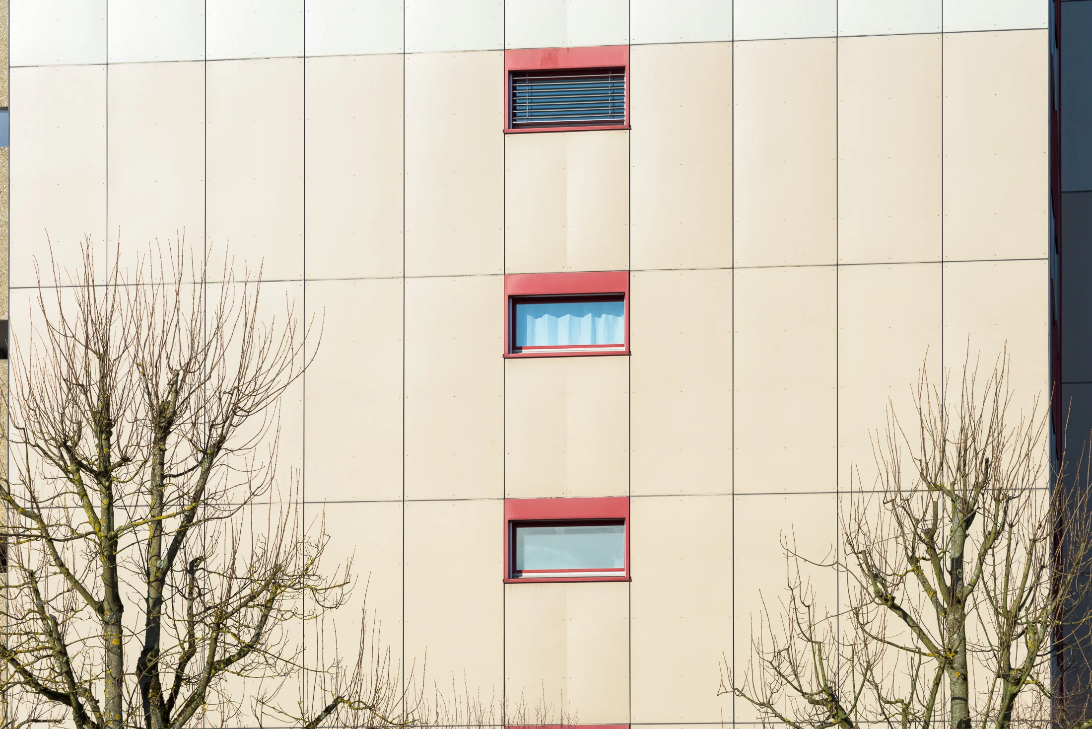 FSP471-MFH-ROTHRIST 0216-066.JPG