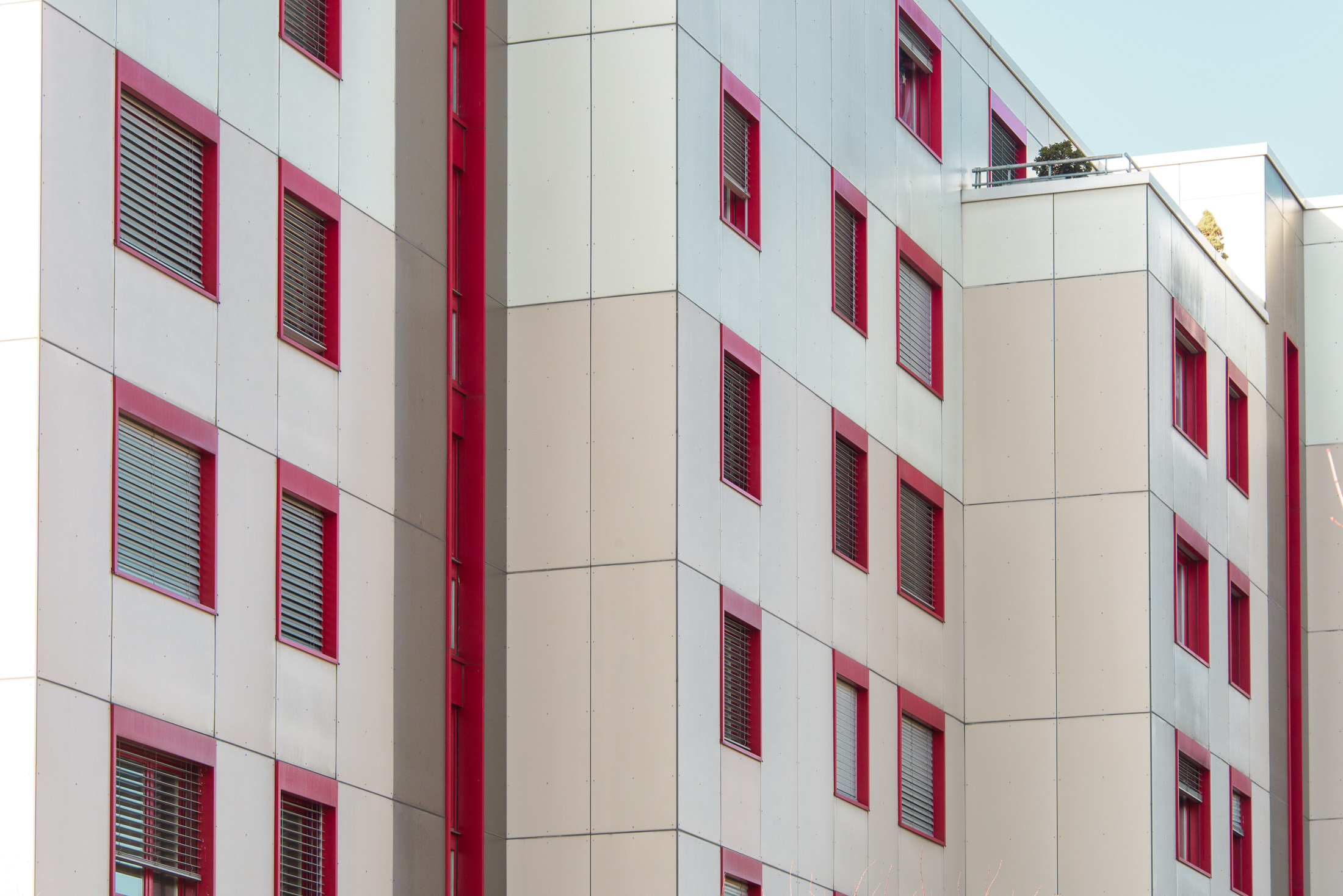 FSP471-MFH-ROTHRIST 0216-107.JPG