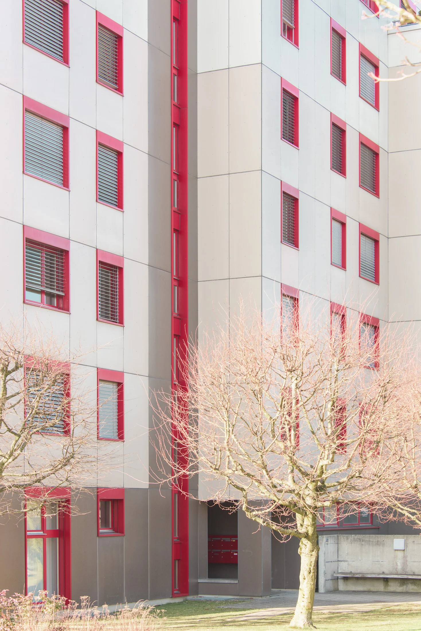 FSP471-MFH-ROTHRIST 0216-129.JPG